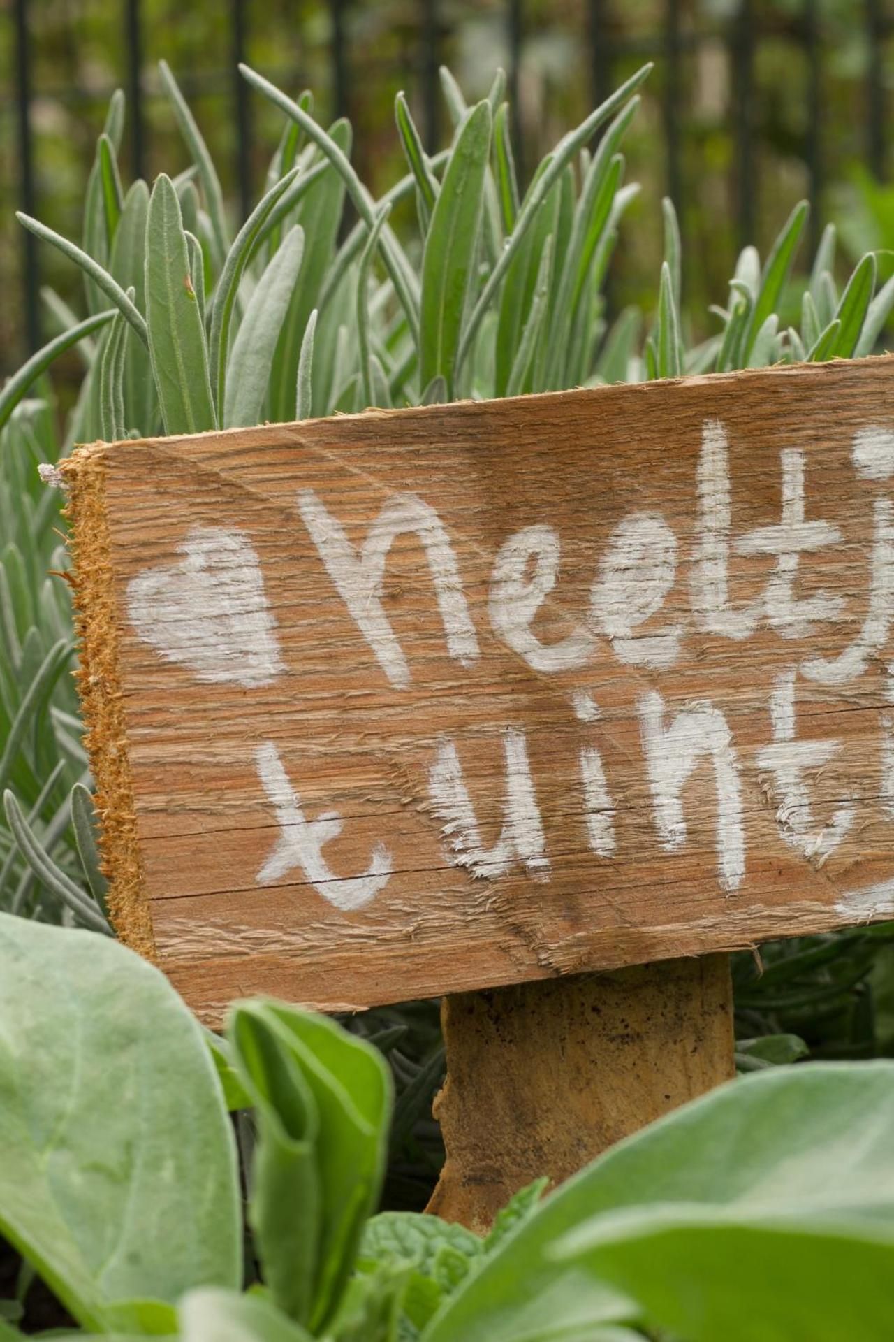 Bed & Breakfast Neeltje Soet