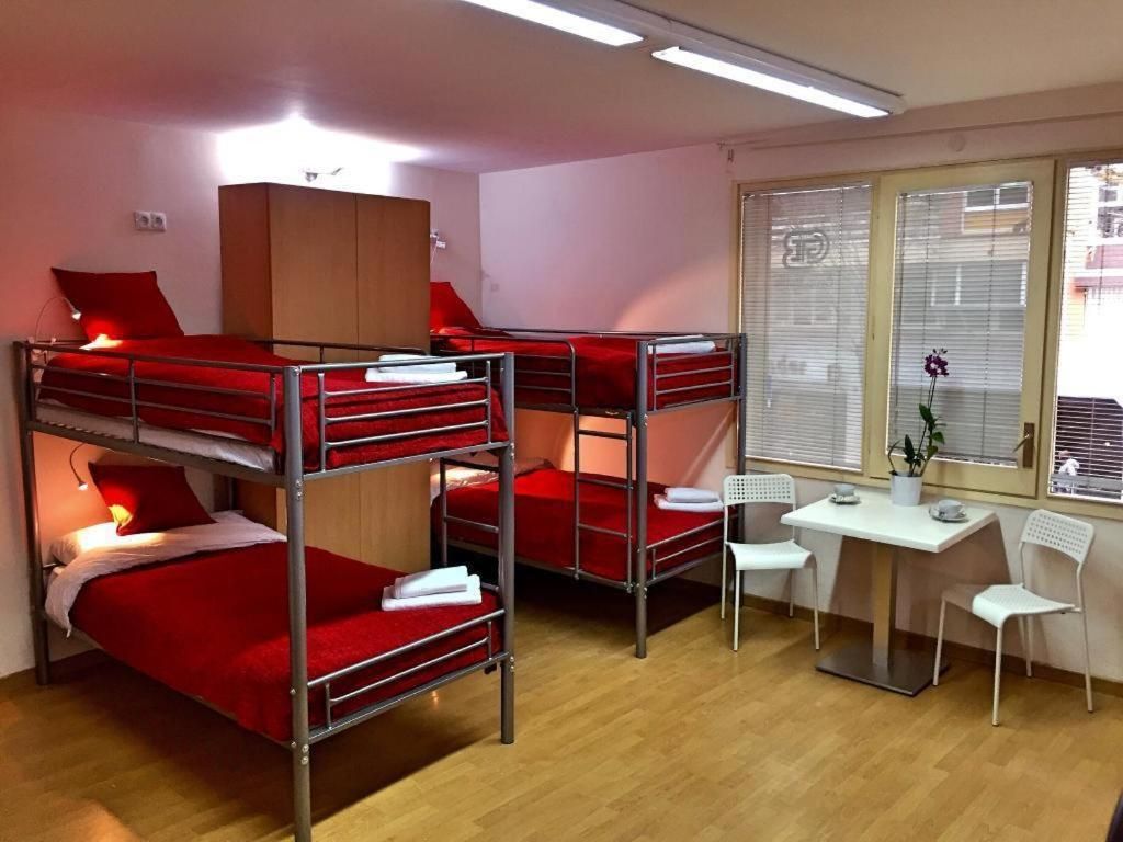 Bunk Bed in Mixed Dormitory Room