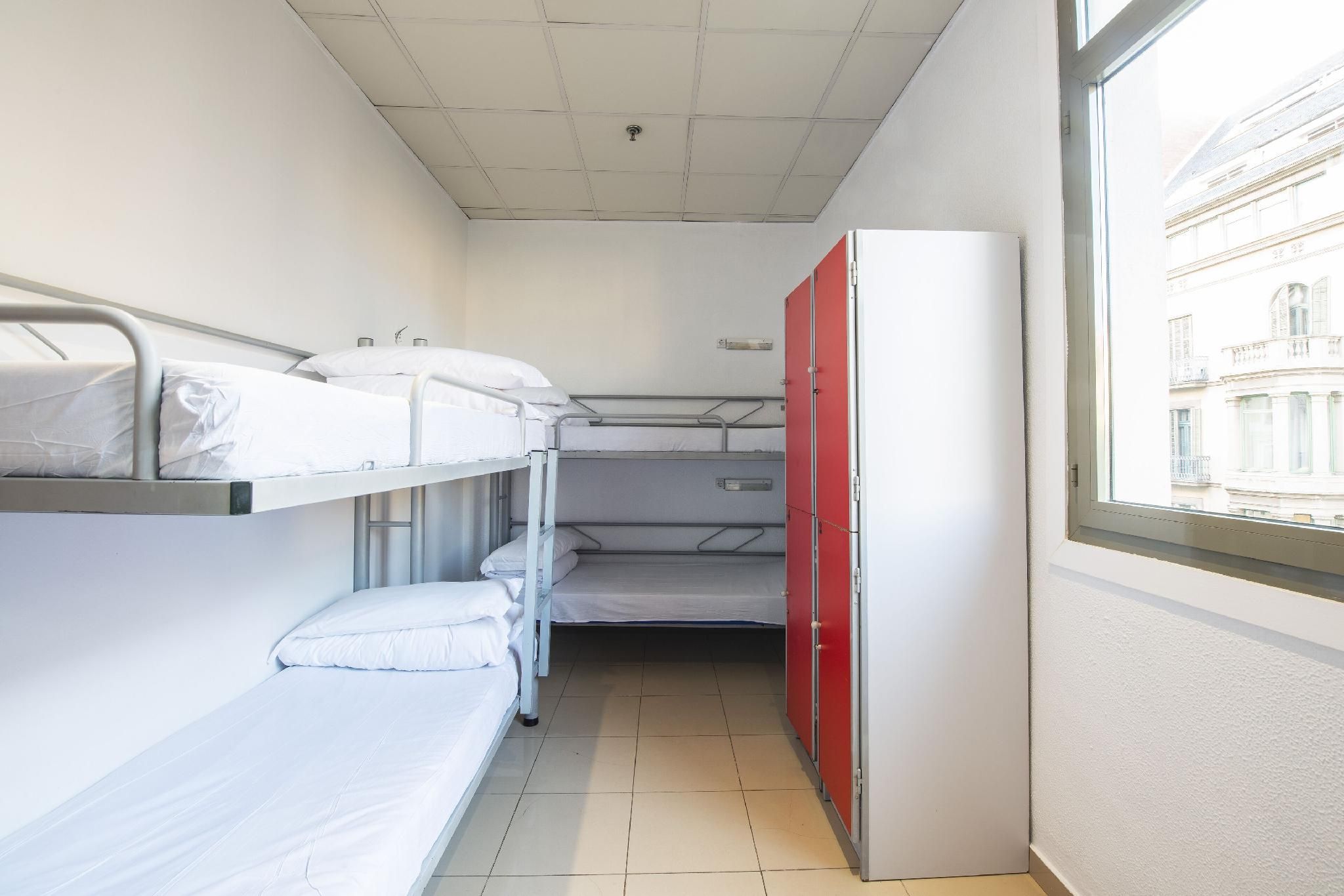 Bed in 4-Bed Mixed Dorm Shared Bathroom
