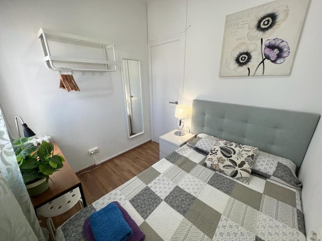 Standard Single Room with Shared Bathroom