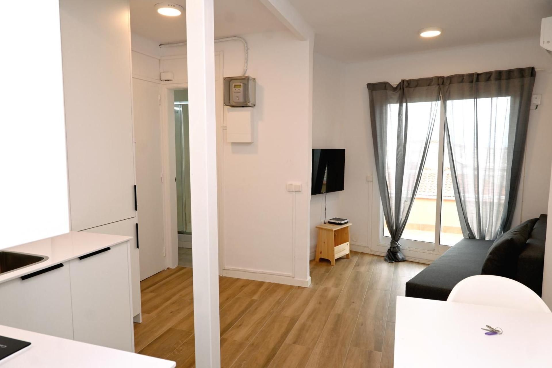 Penthouse Apartment