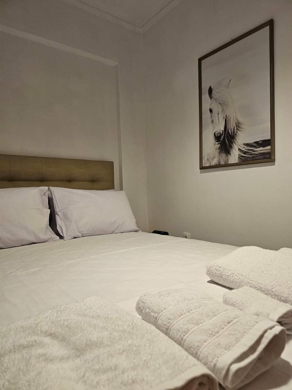 MVM rooms
