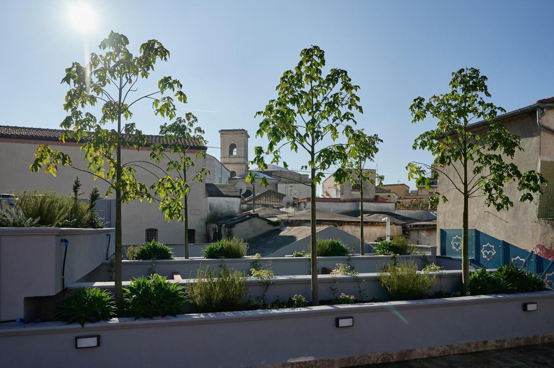 Mamaco Foggia Centro