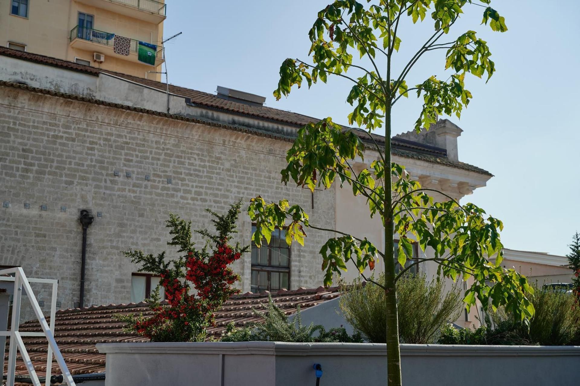 Mamaco Foggia Centro