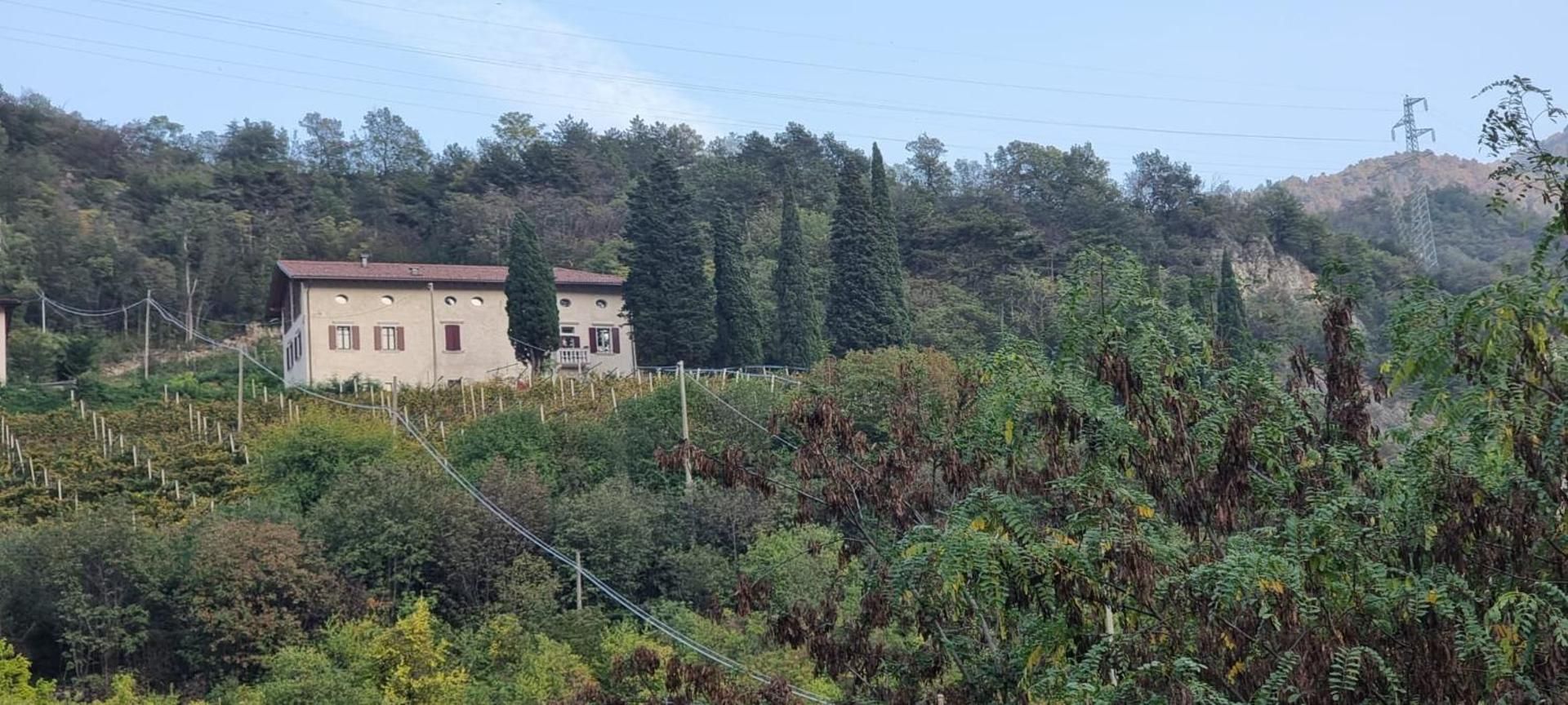 surrounding environment