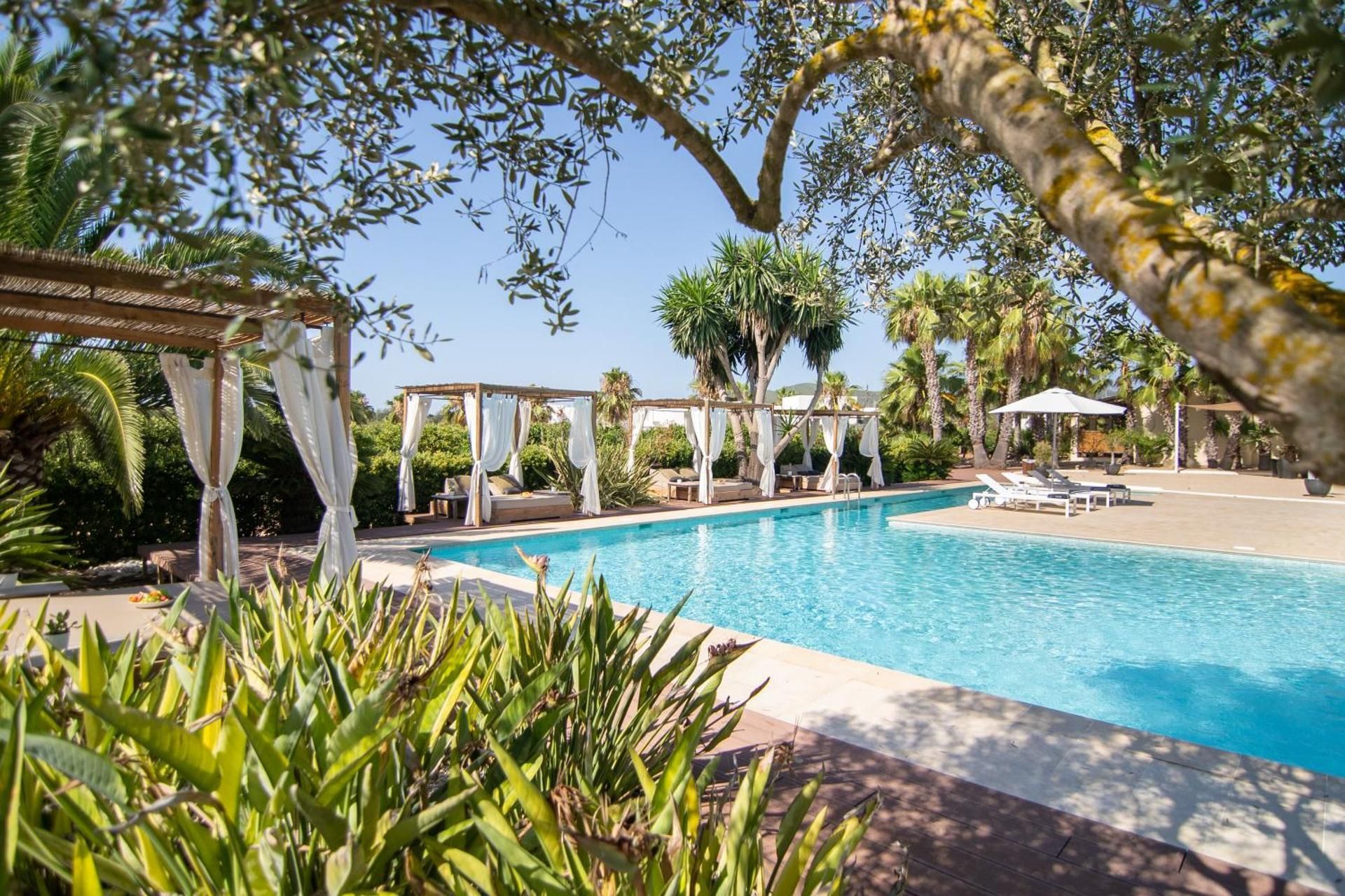 surrounding environment