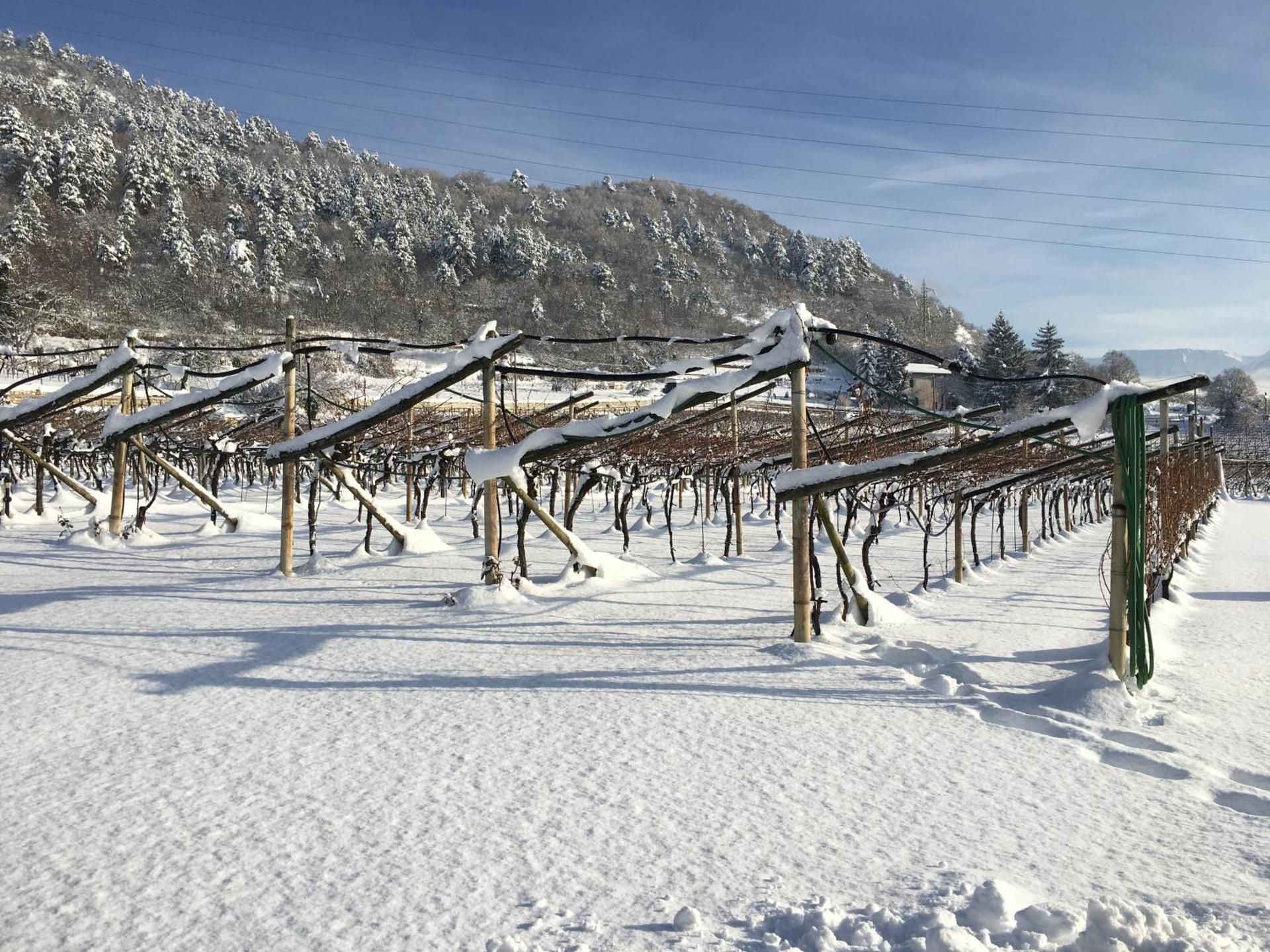 B&B La Casa in Collina