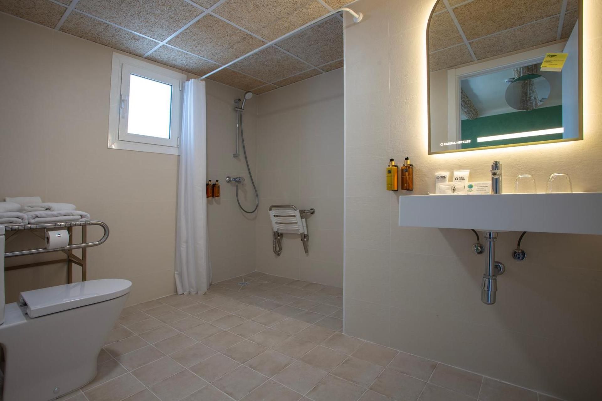 Superior Double or Twin Room with Terrace