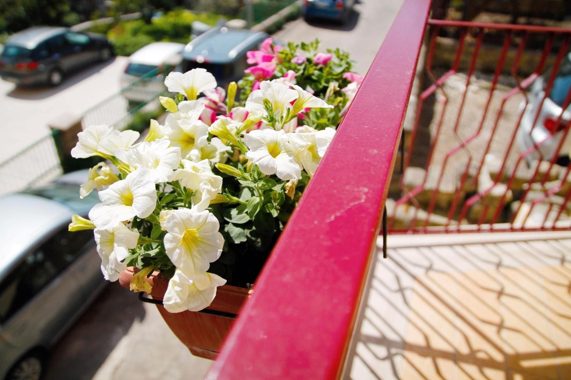 Central Rooms Matera