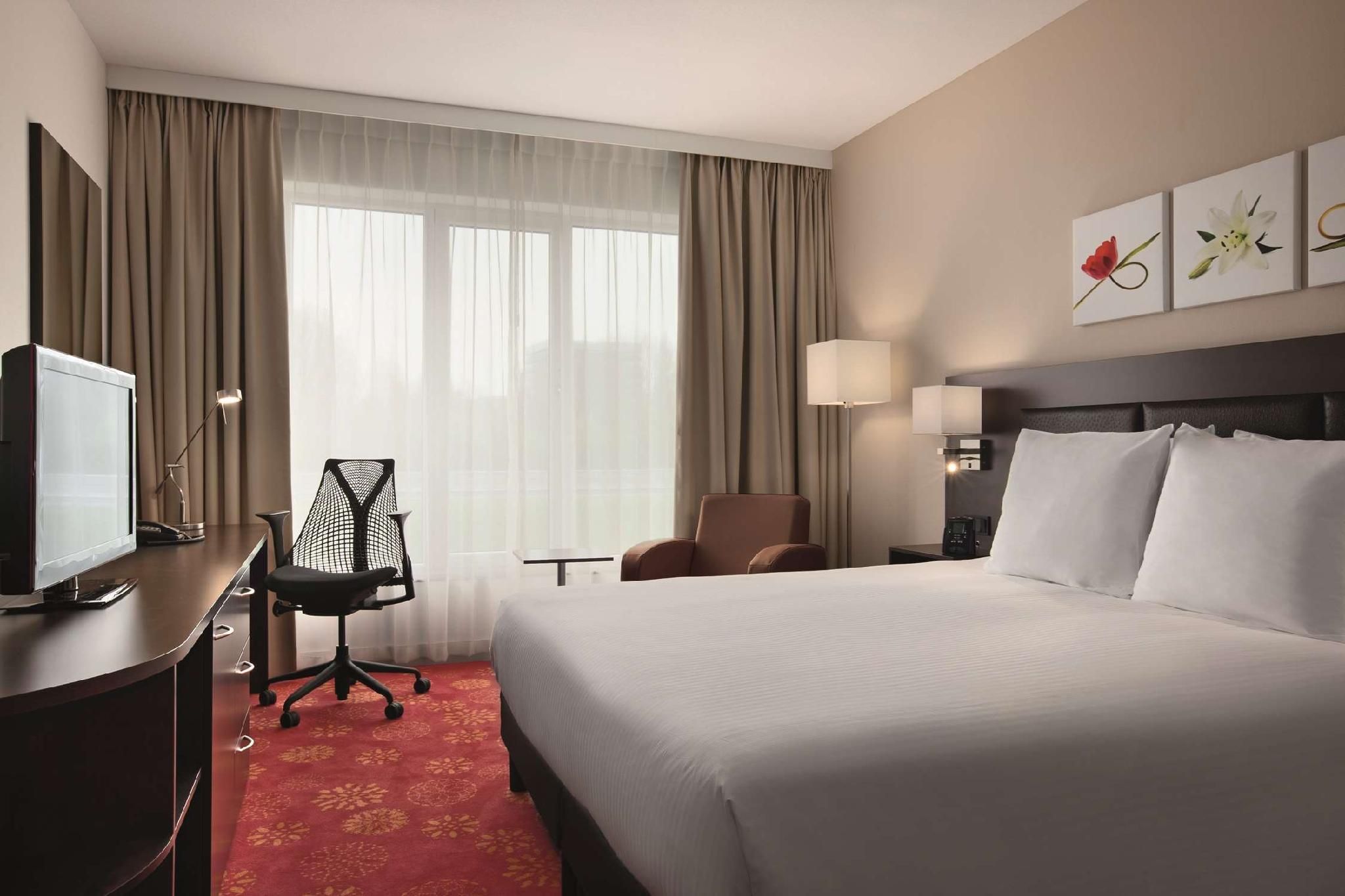 Queen Accessible Room