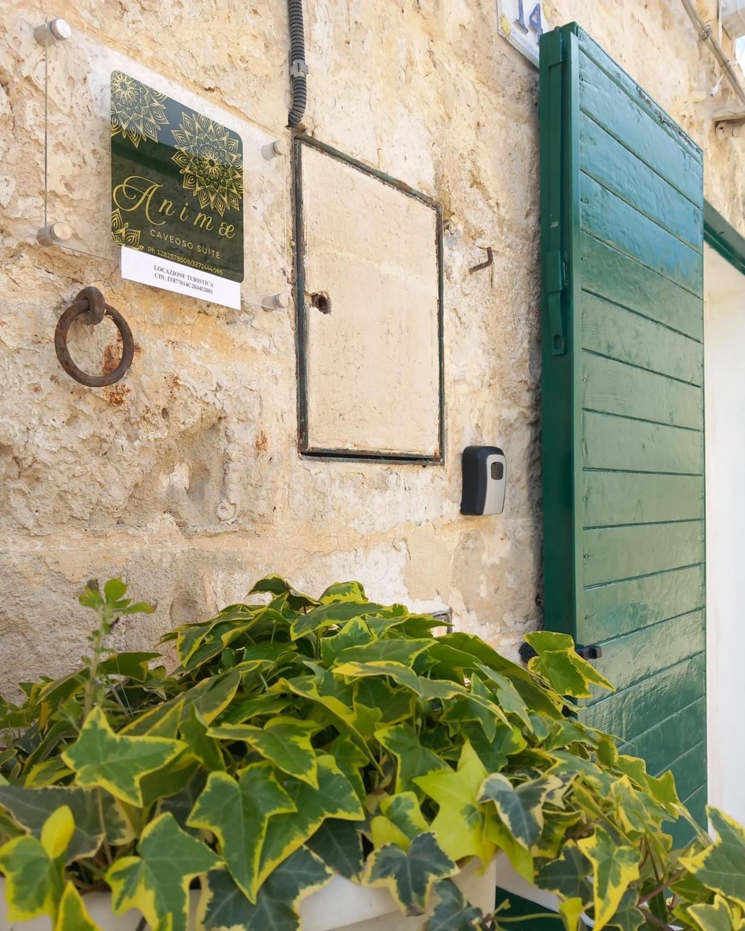 Animæ Caveoso Suite