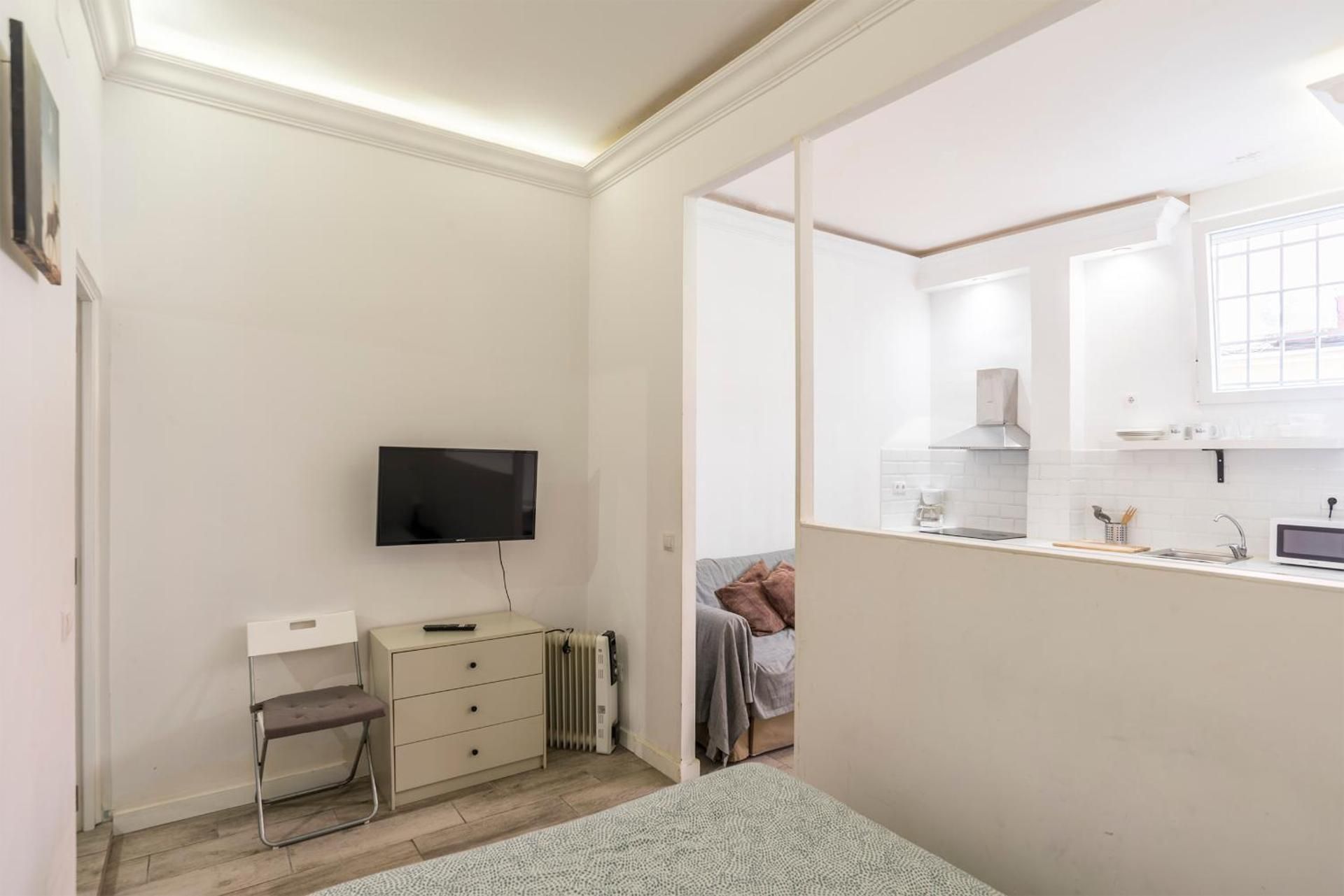 Deluxe One-Bedroom Apartment