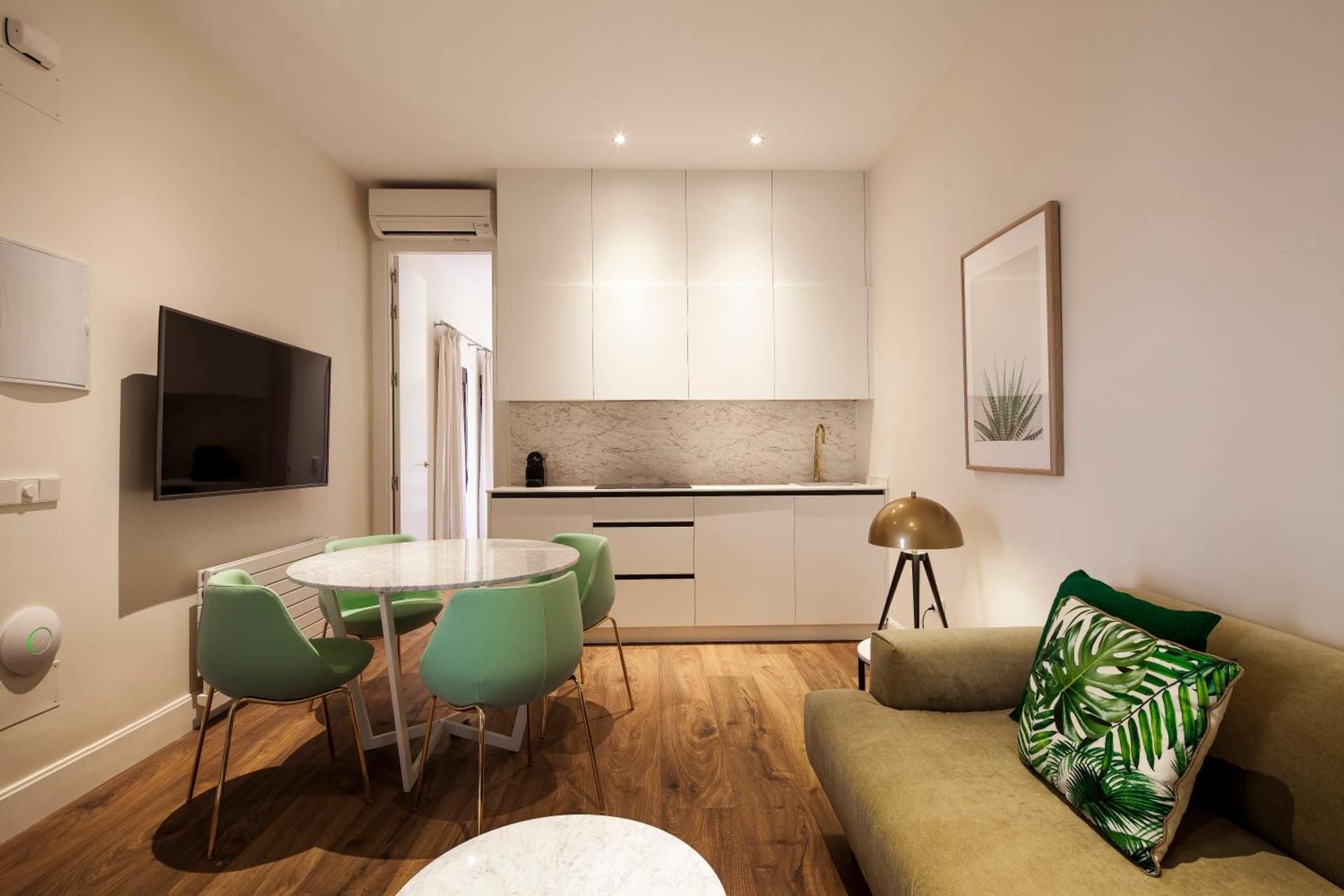 Penthouse with Terrace