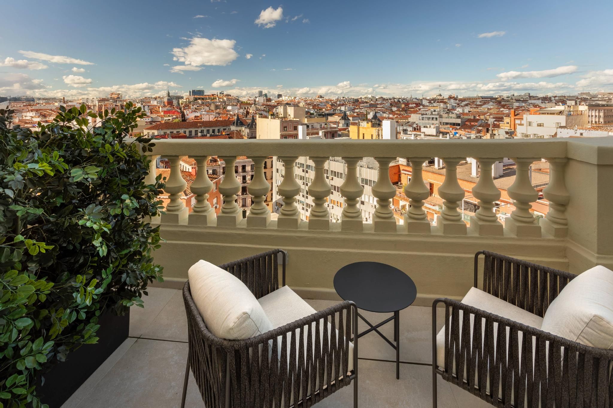 Superior Single Room with Terrace
