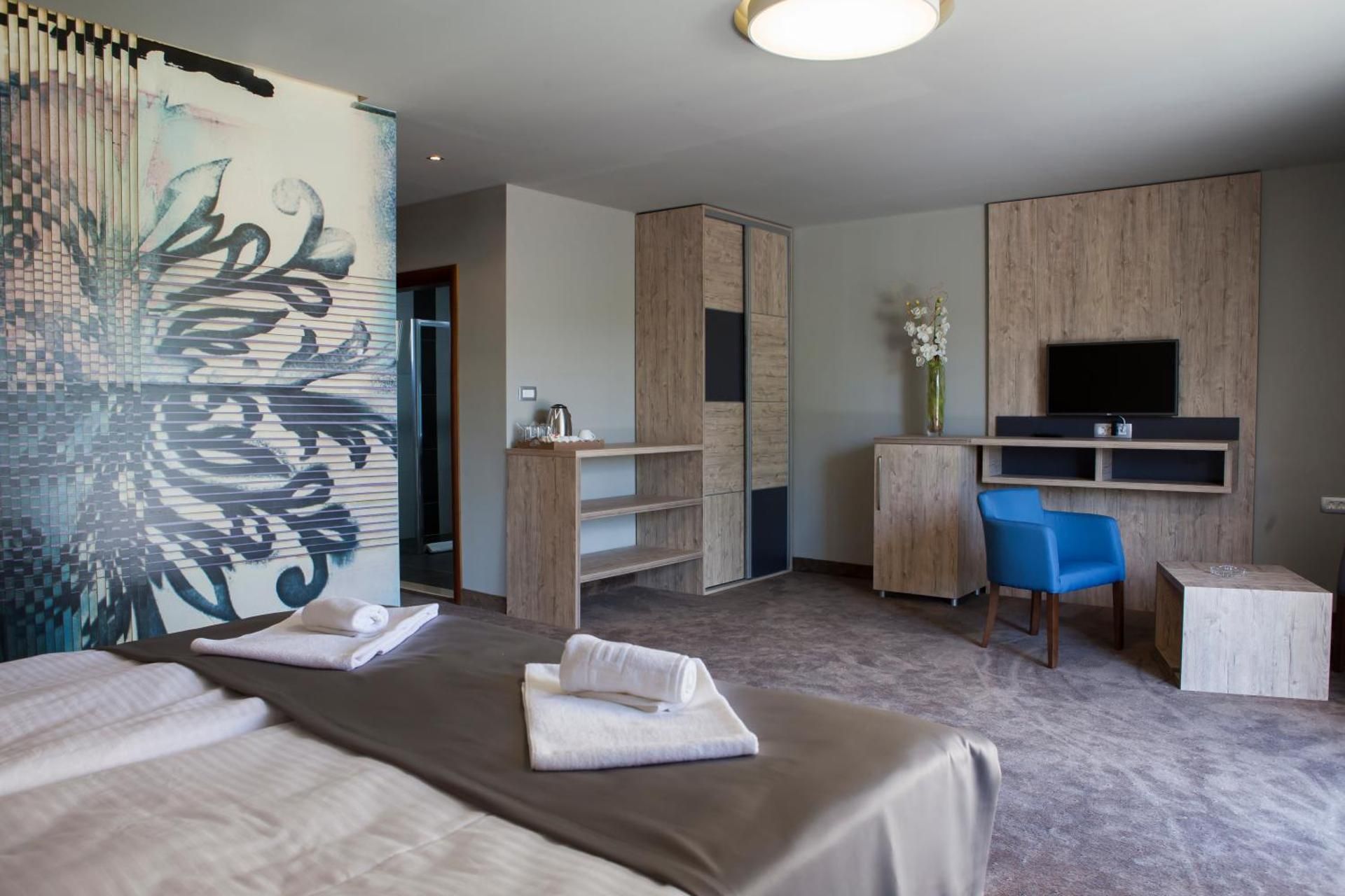 Deluxe One-Bedroom Apartment
