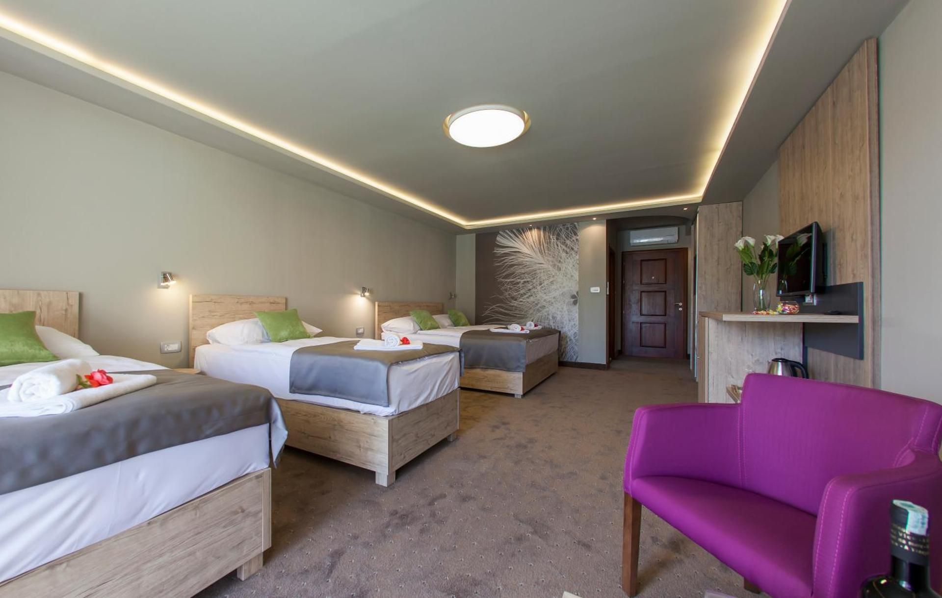 Luxury Apartment