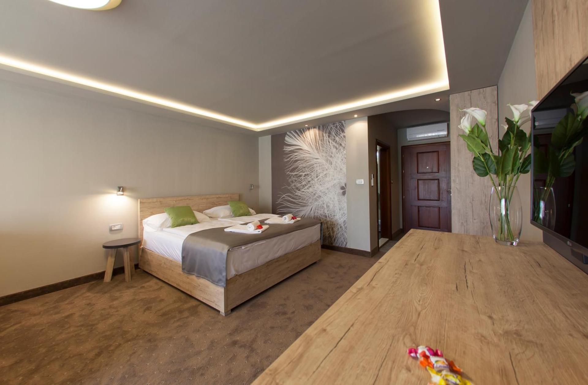 Deluxe One-Bedroom Apartment