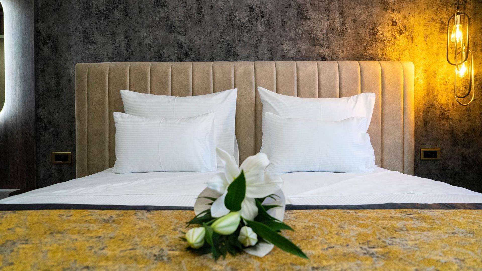 Hotel Pasha Deluxe Double Room