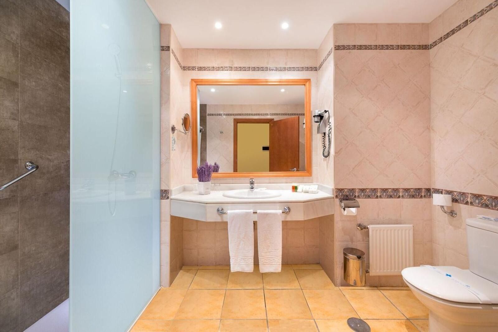 Junior Suite with Terrace and Sea View
