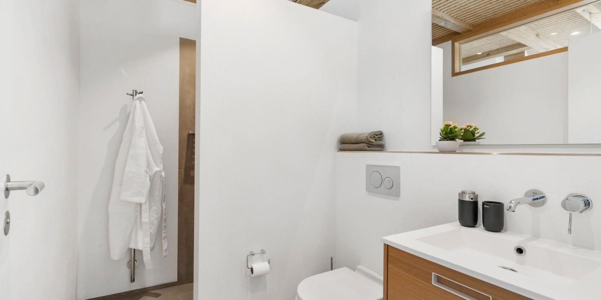 Deluxe One-Bedroom Apartment