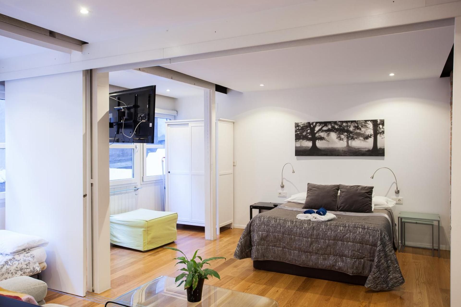 Baps Apartments Superior One-Bedroom Apartment - Calle Hernan N*9