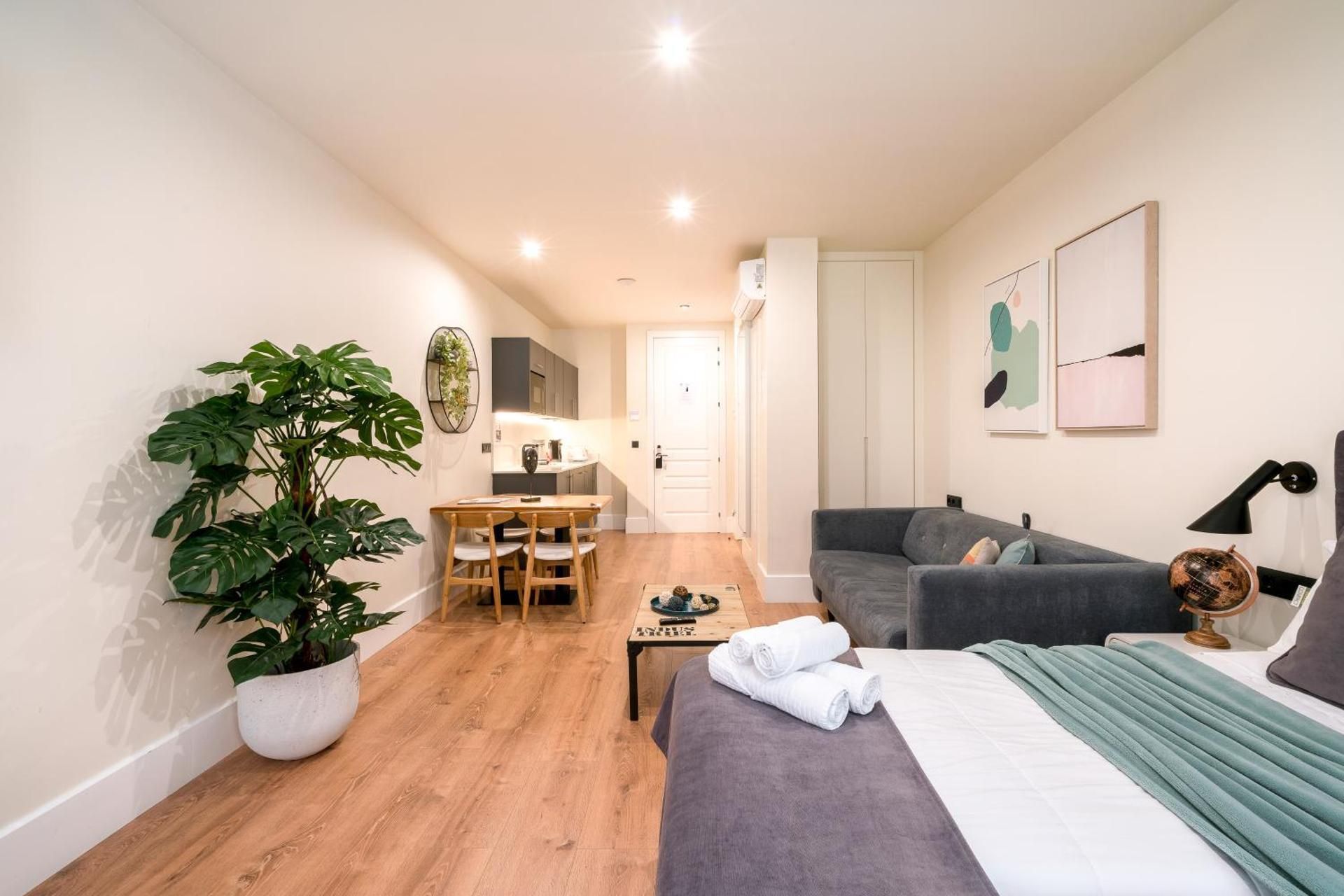 BILBAO RIVERSIDE by STAYNN APARTMENTS Studio Apartment