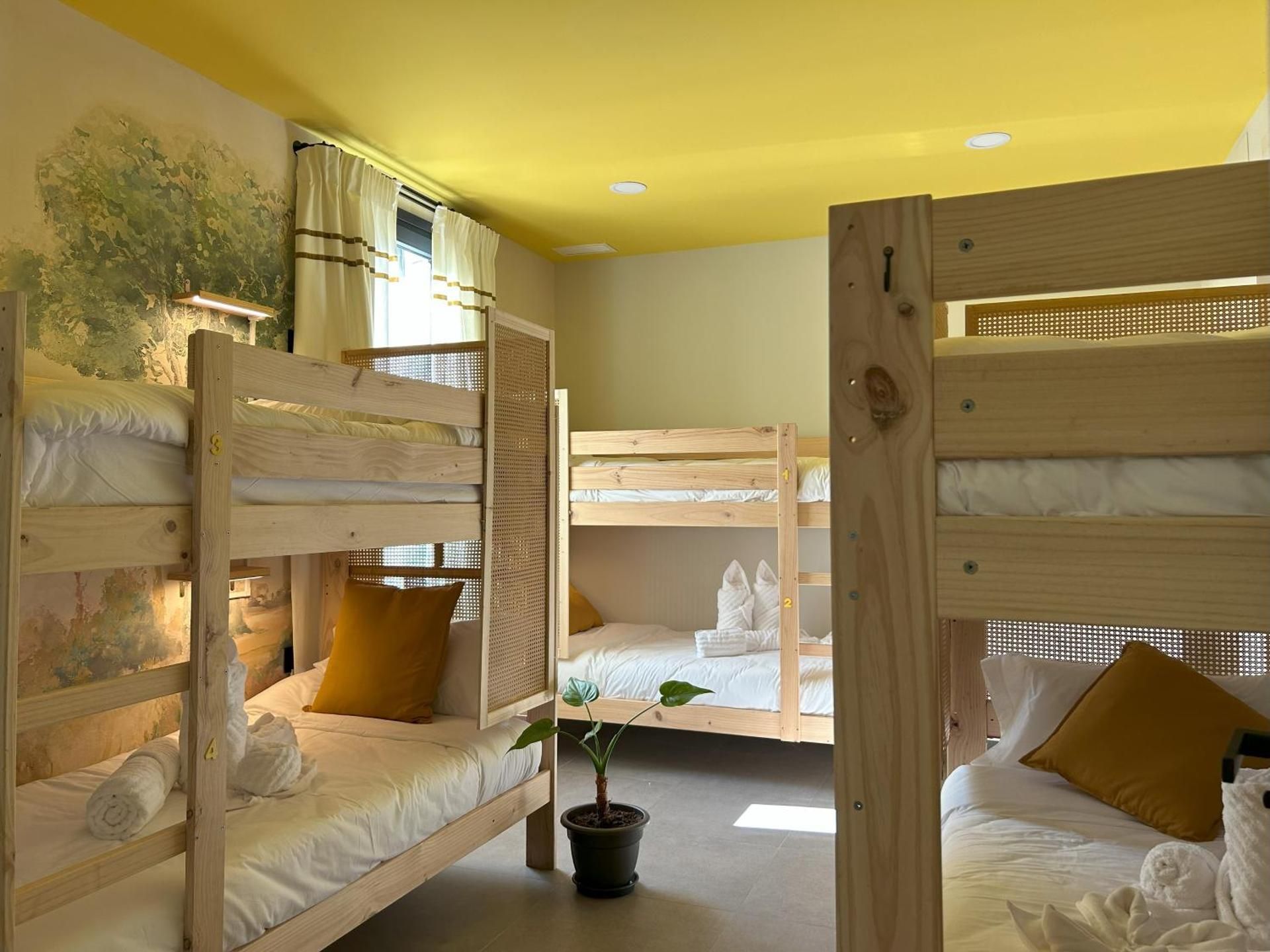 Bed in 6-Bed Female Dormitory Room