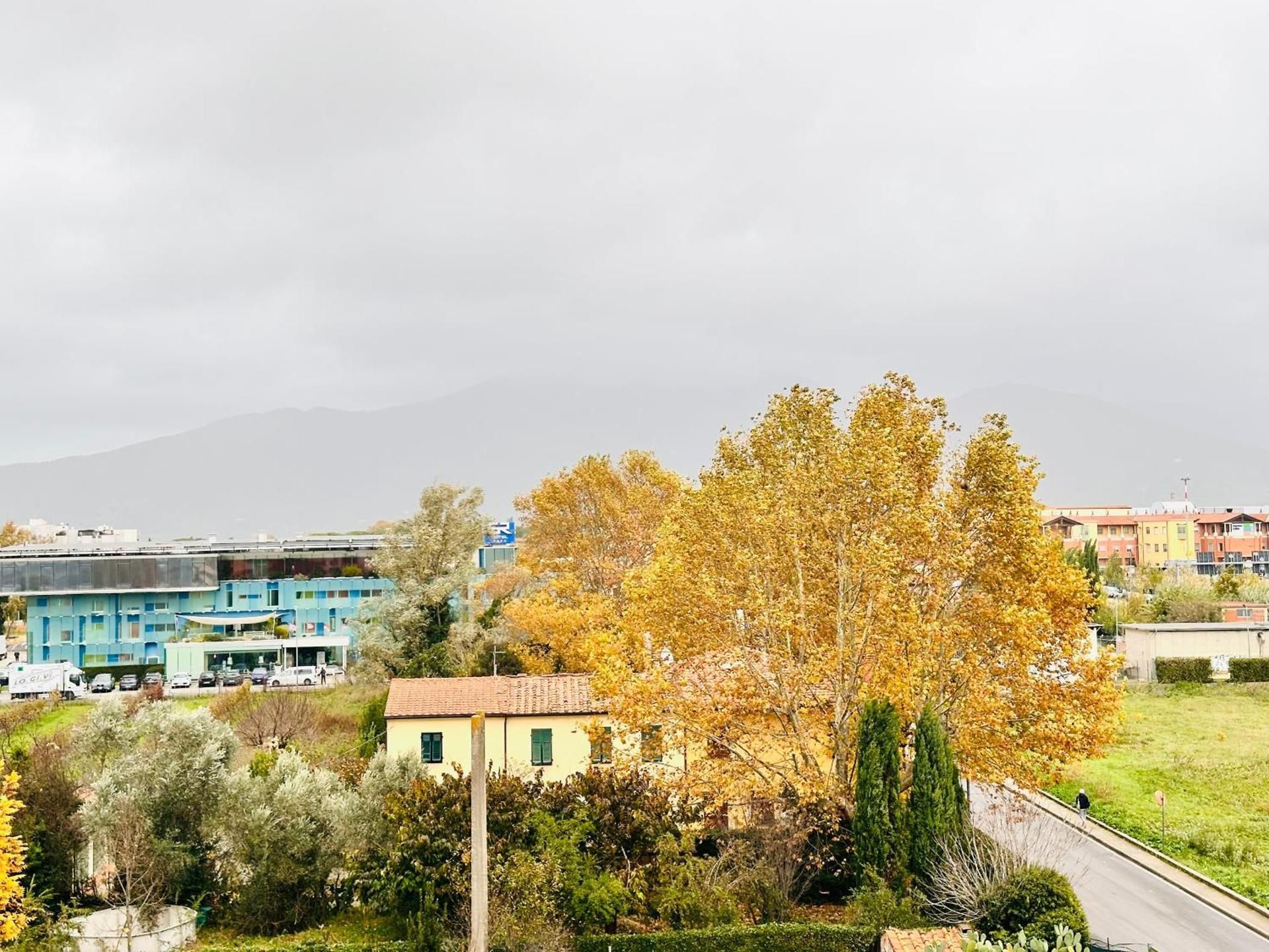 surrounding environment