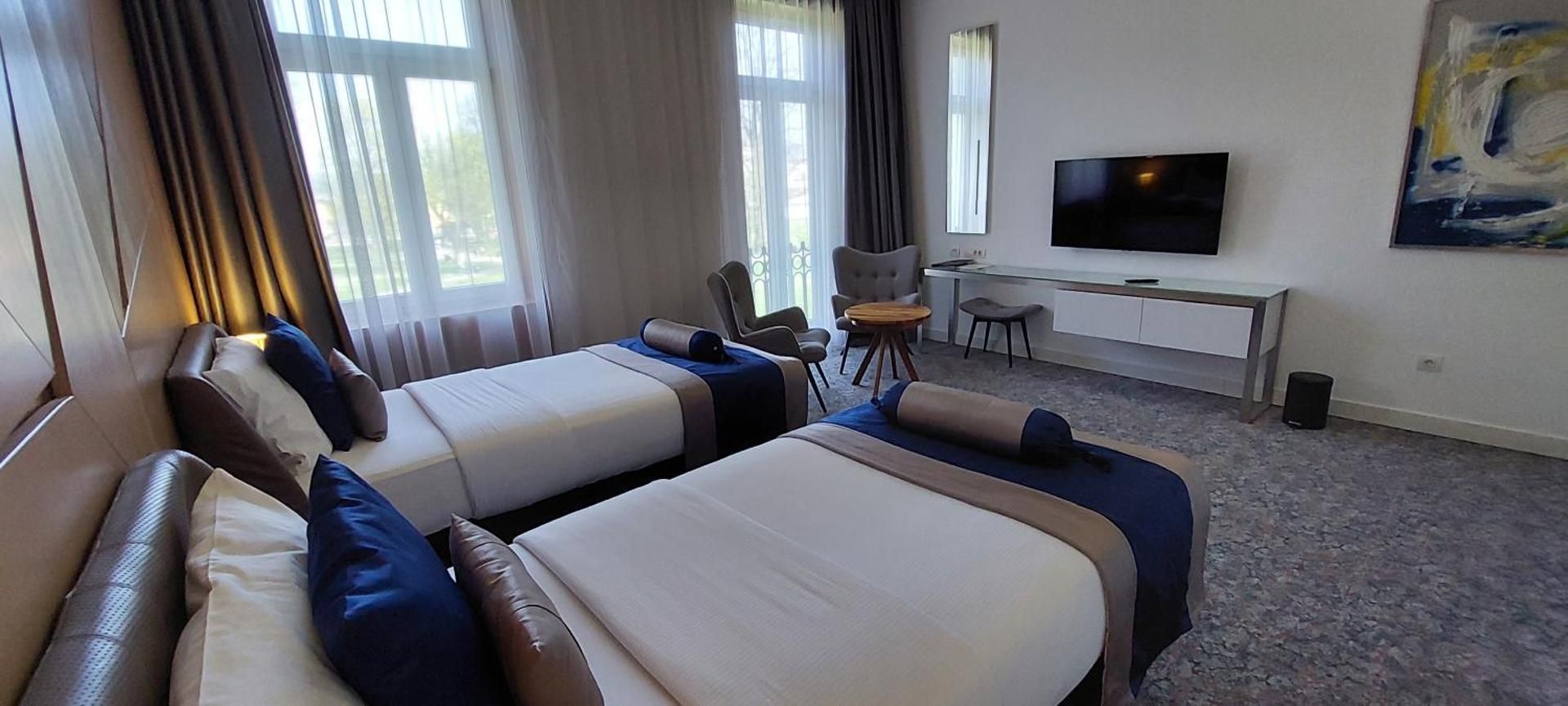 Deluxe Twin Room