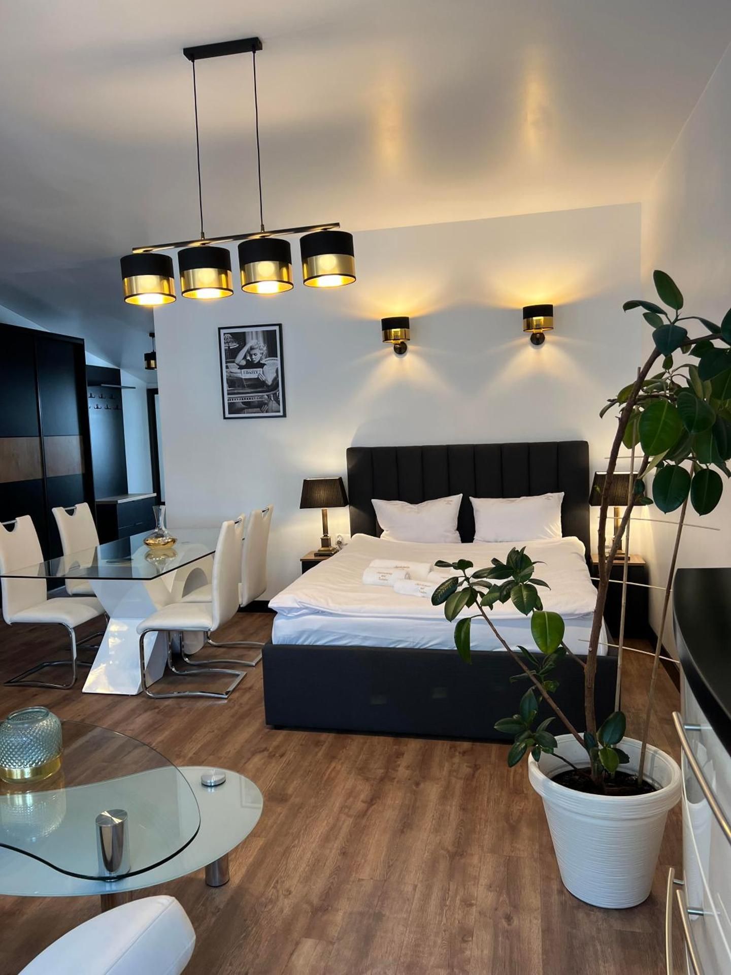 Superior Apartment