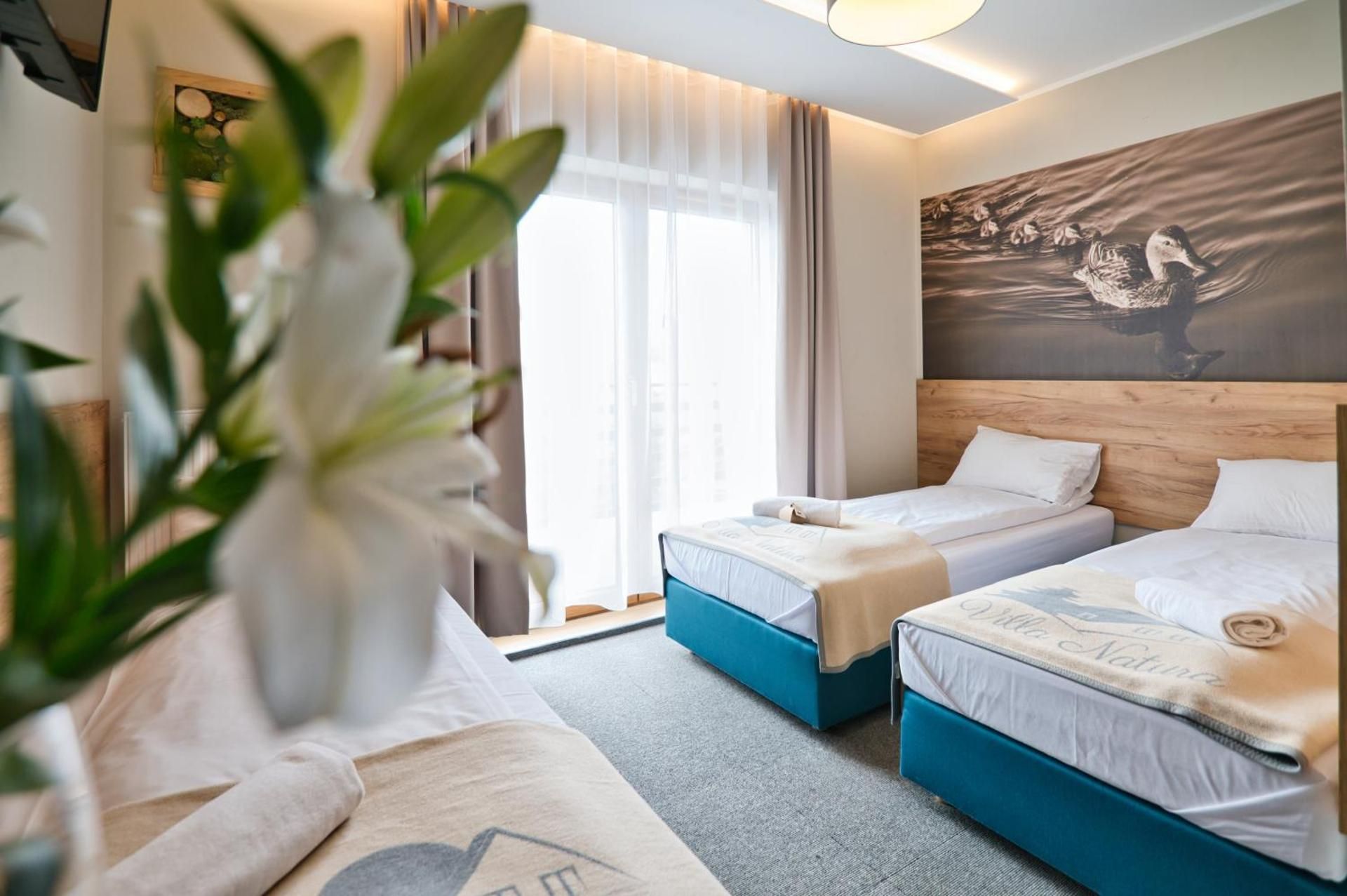 Comfort Quadruple Room