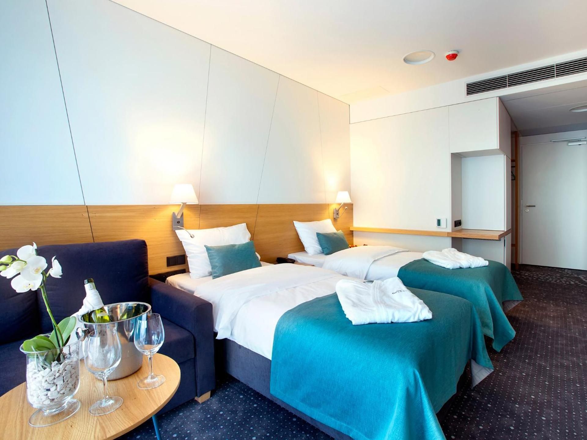 Deluxe Double or Twin Room