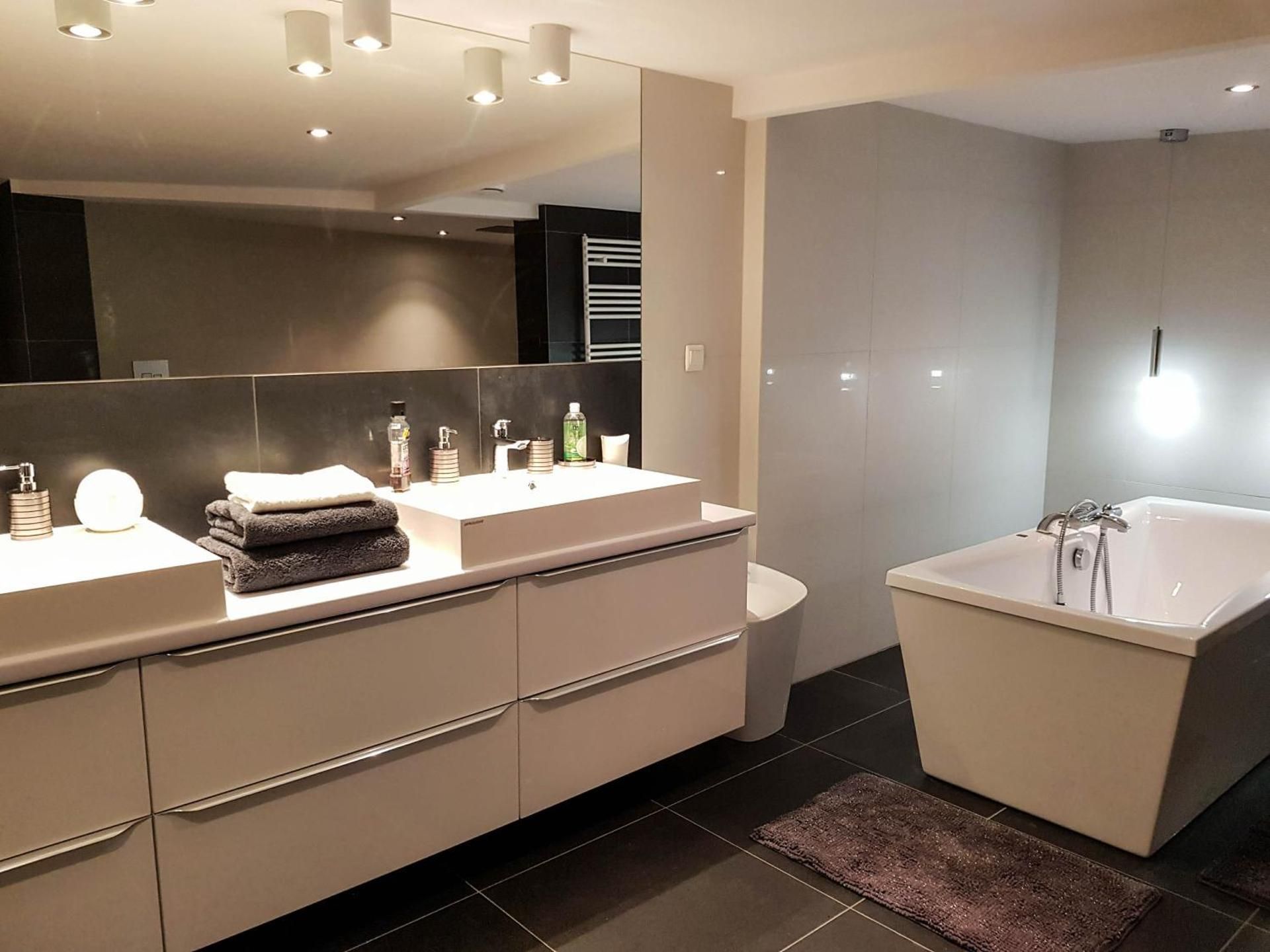 Large One Bedroom Apartment 