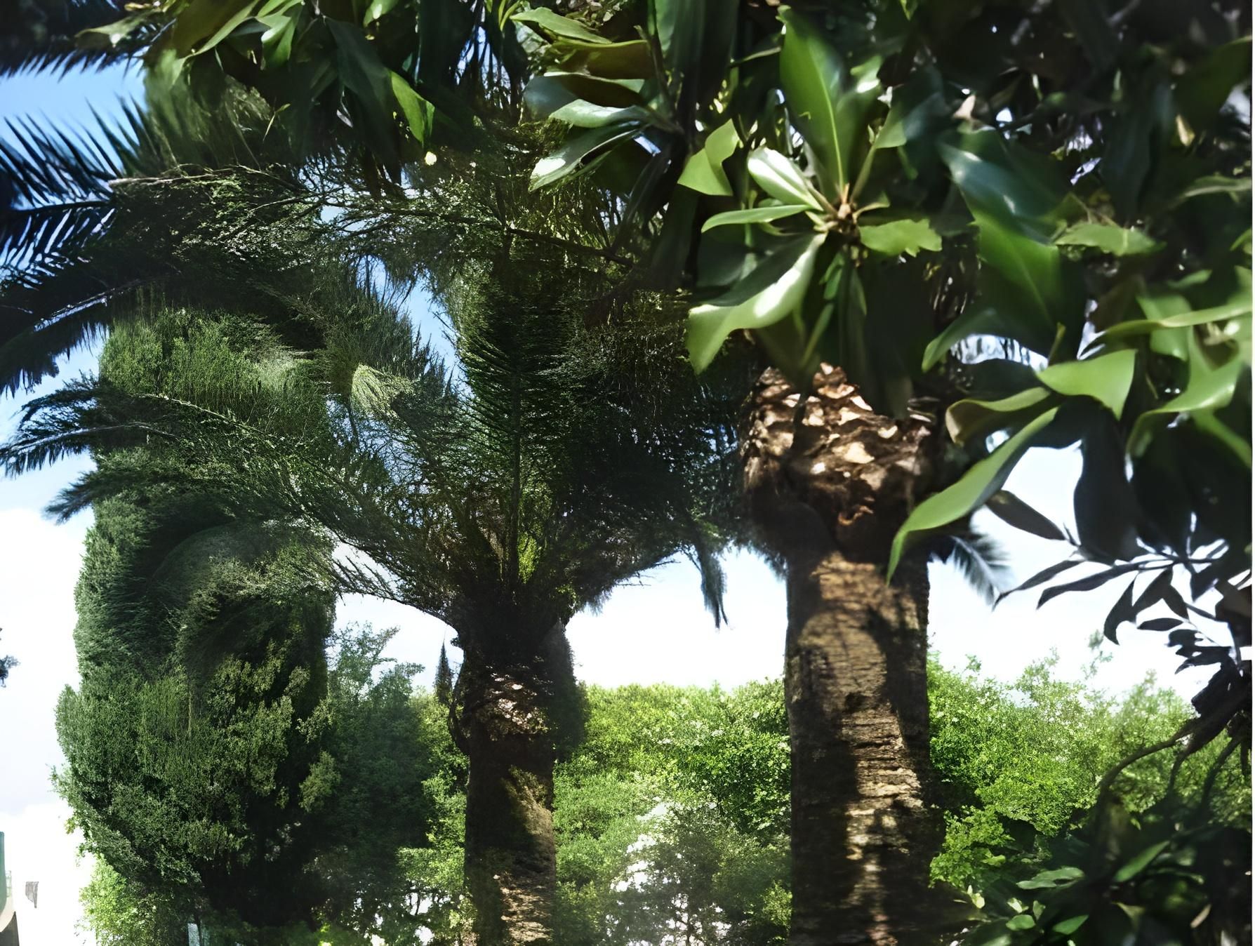 surrounding environment