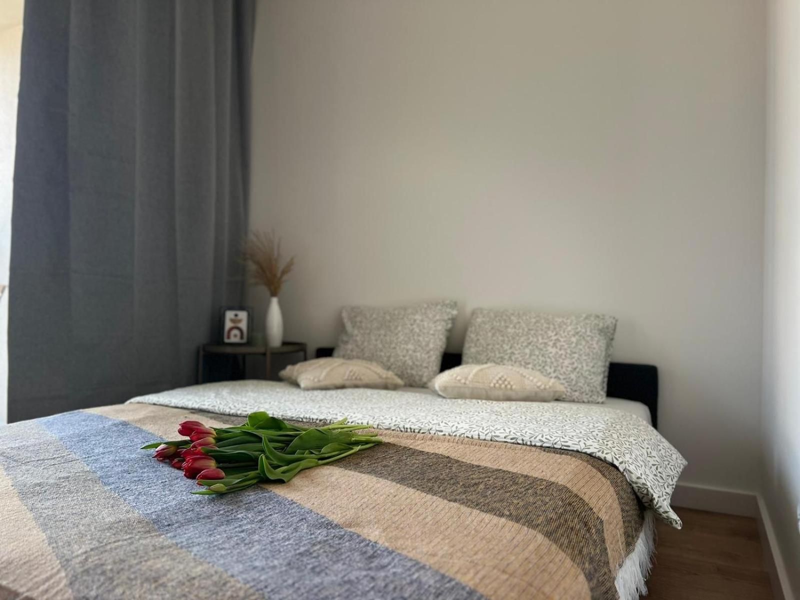 Suite Apartment