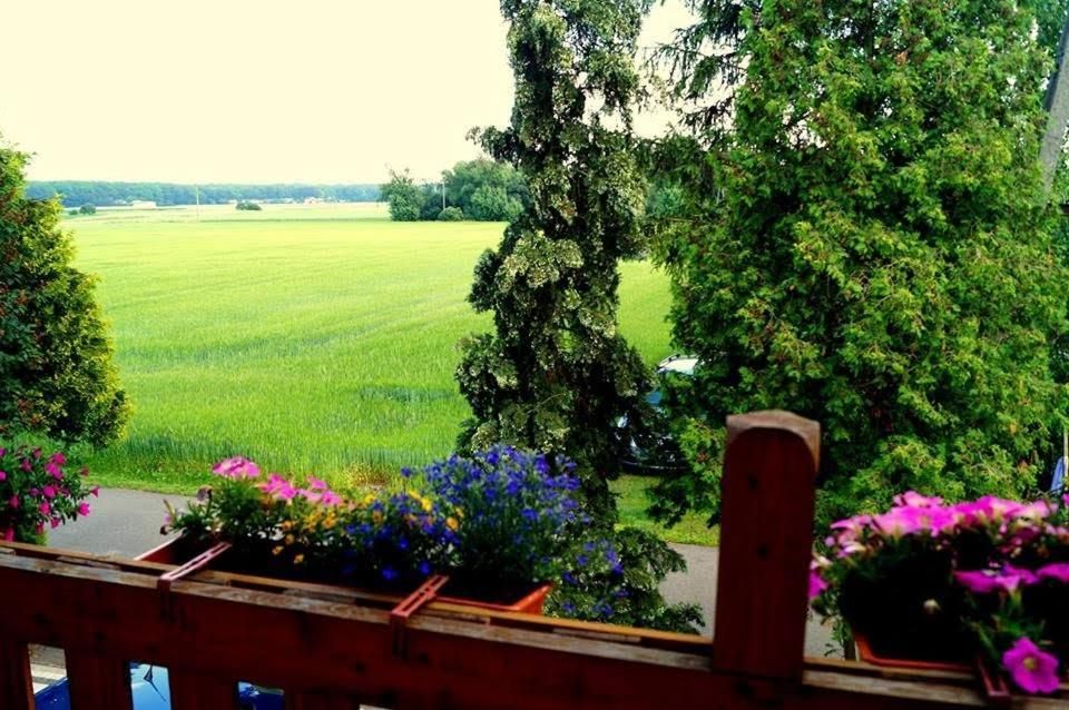 Agroturystyka u Willima