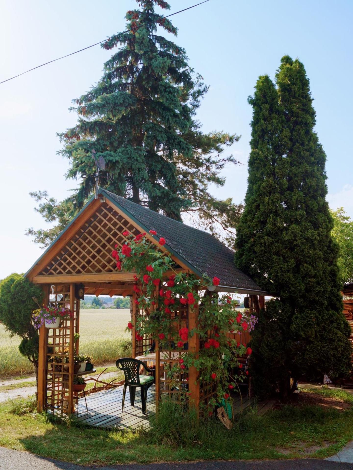 Agroturystyka u Willima