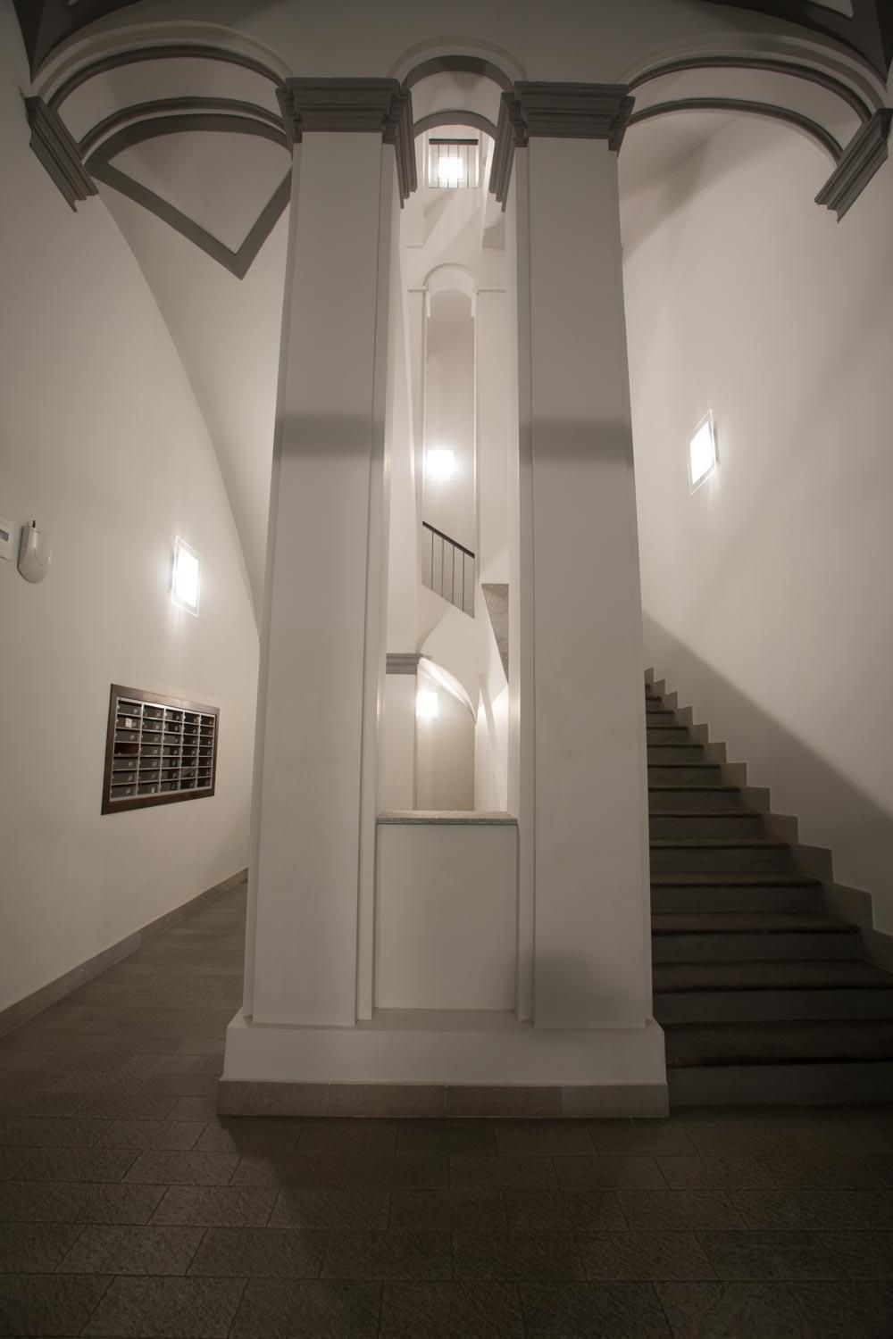 Rapanus Suites