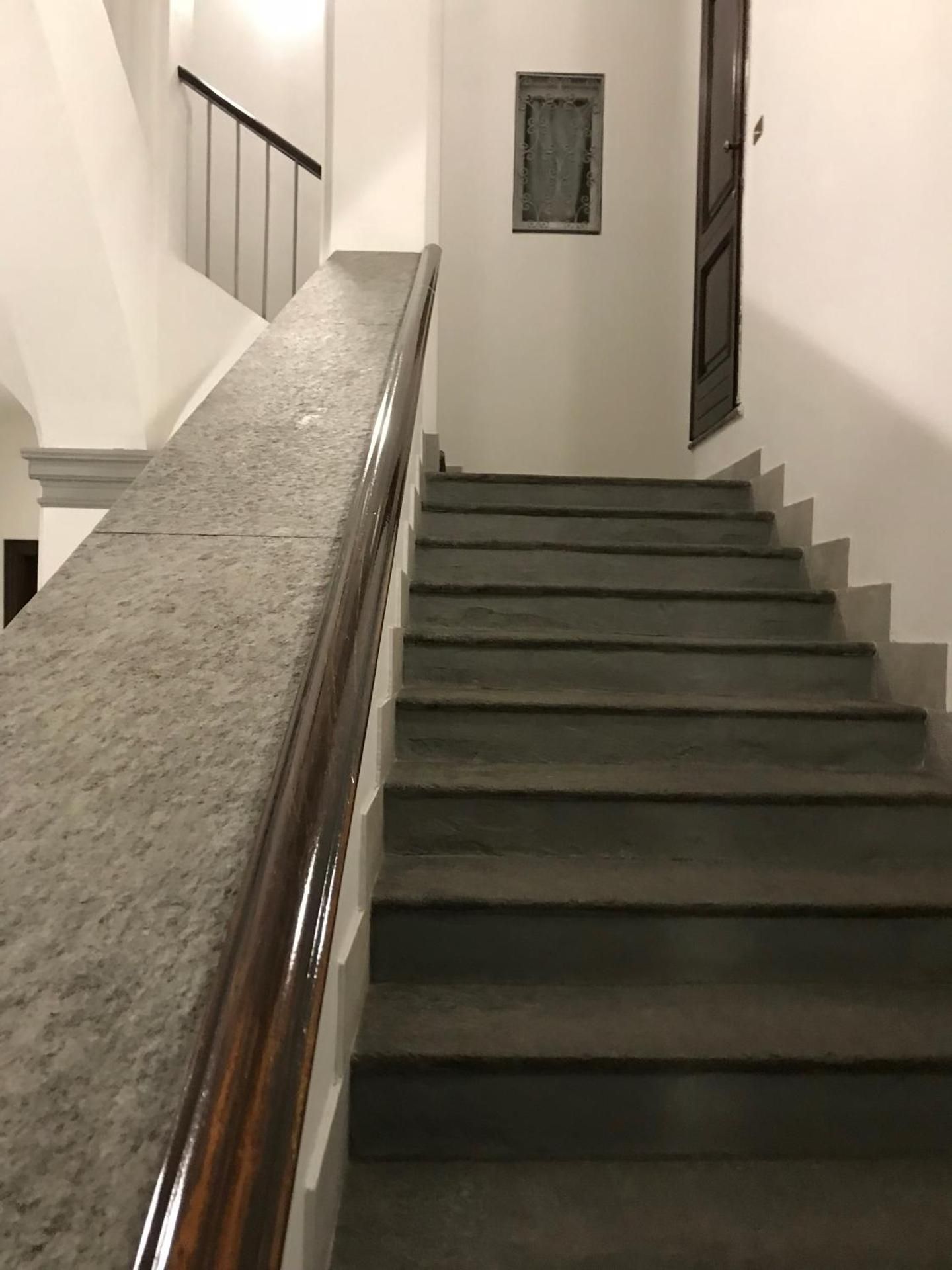 Rapanus Suites
