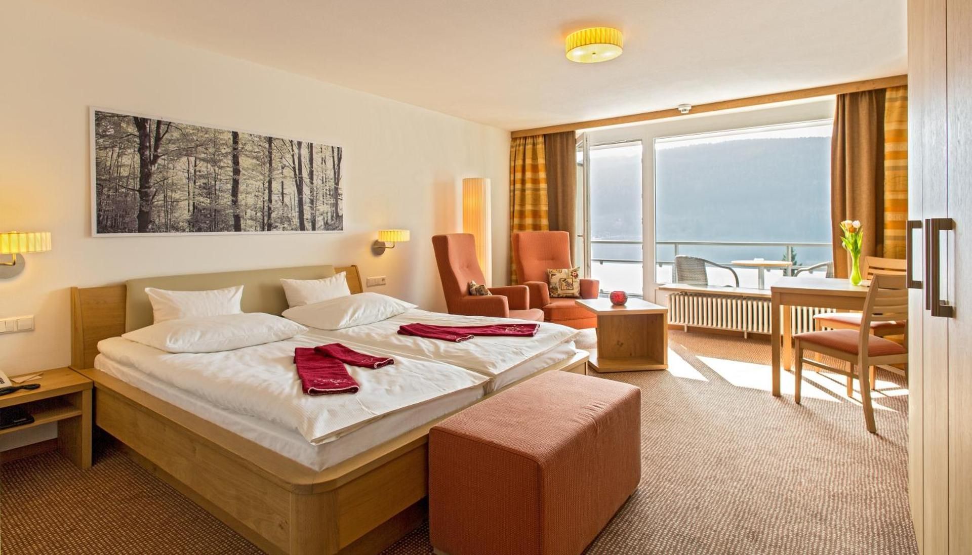Superior Single Room