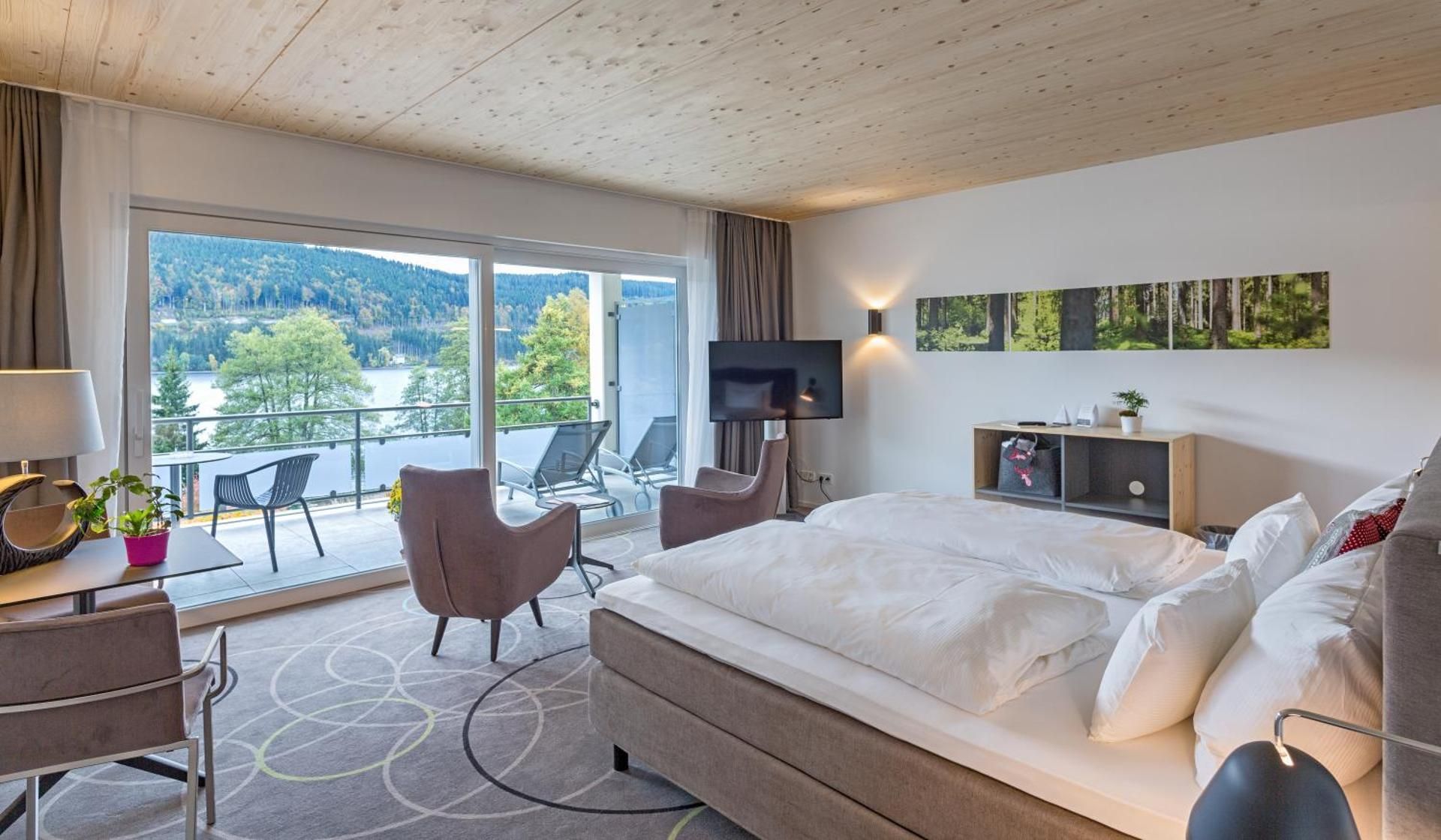 Small Suite Titisee