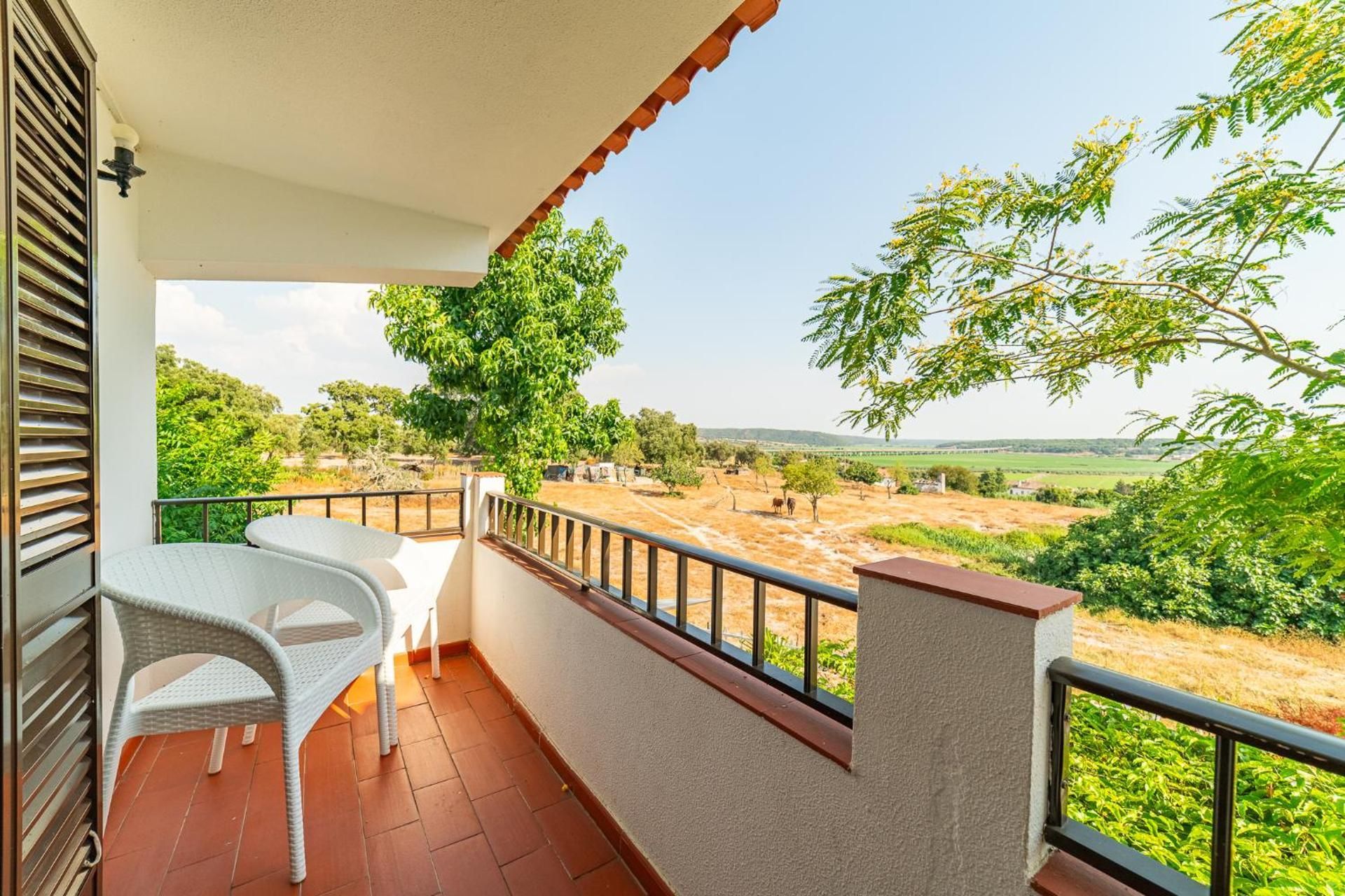 Bed in 8-Bed Mixed Dormitory Room