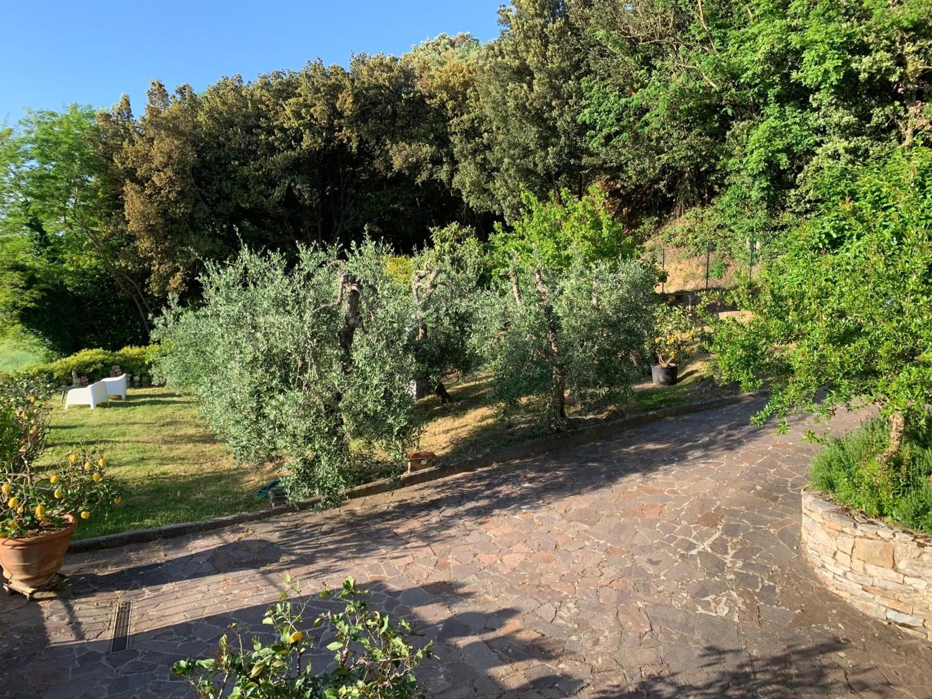 Chianti Art Room