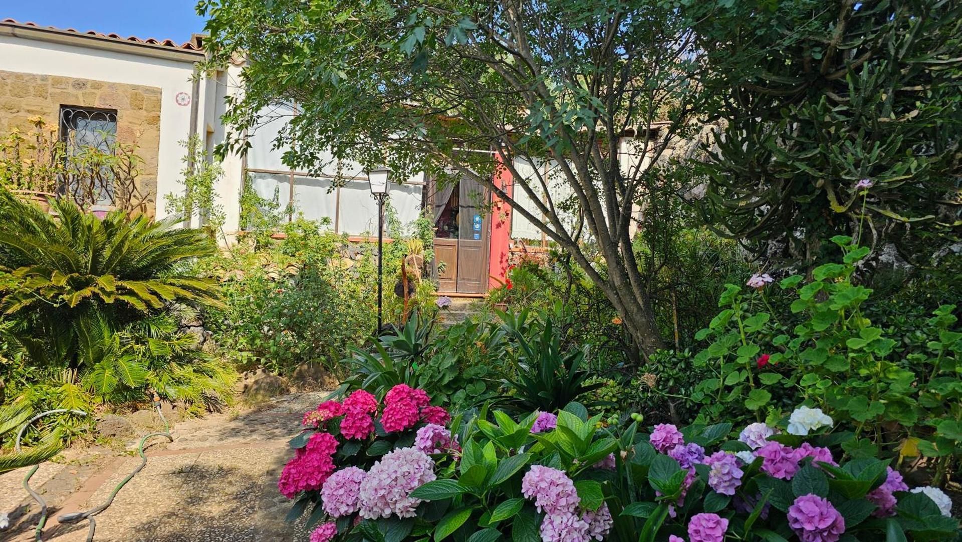 Casa Terranova