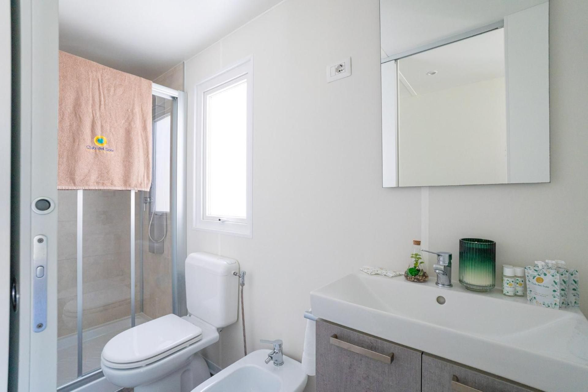 Mobile Home Executive