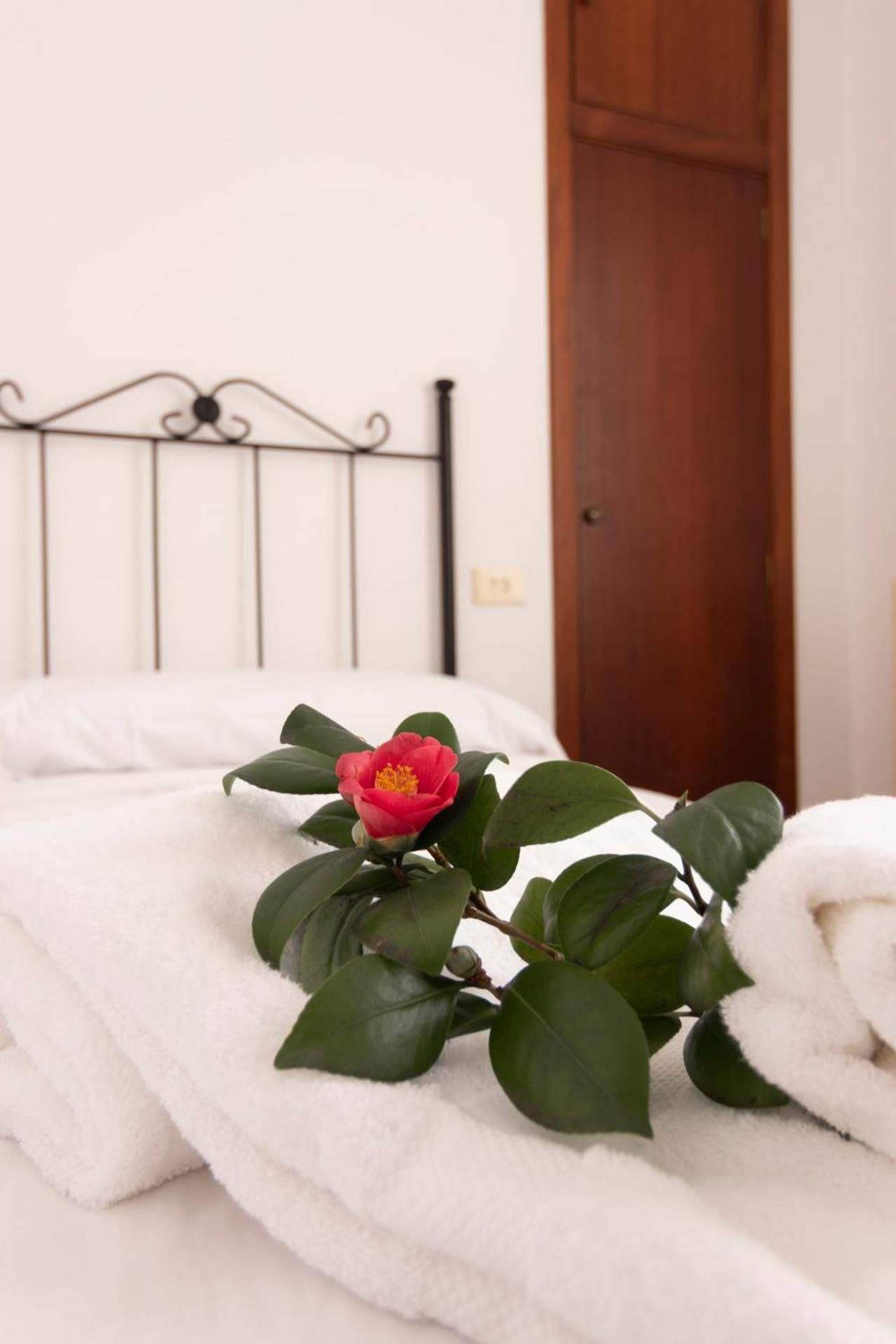 Single Room with Garden View