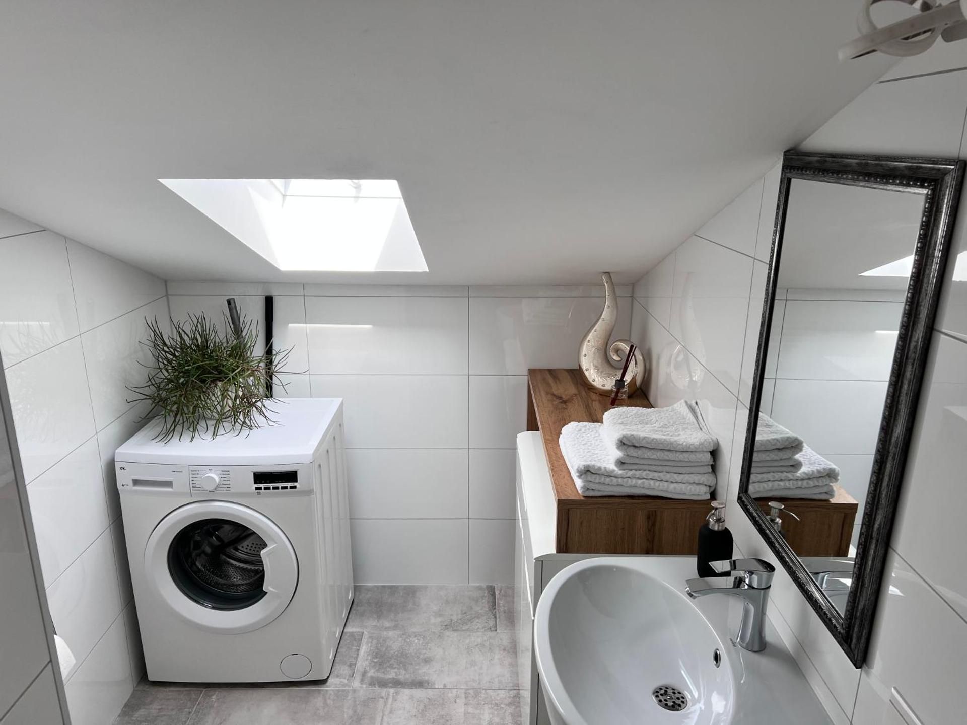 Apartment with Shower