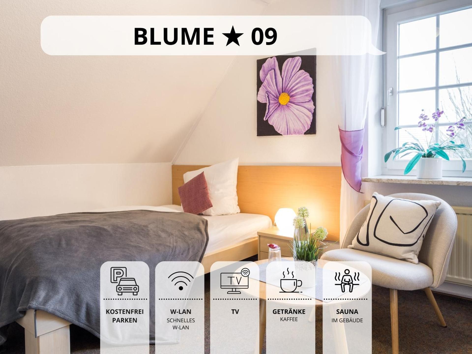 Budget Single Room