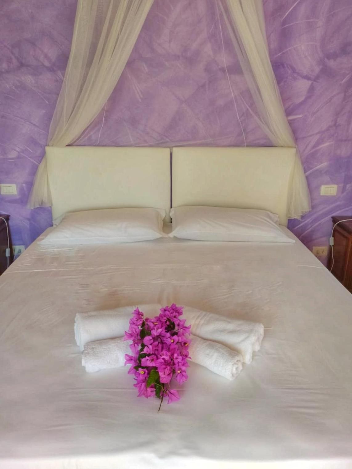 King Room with Garden View
