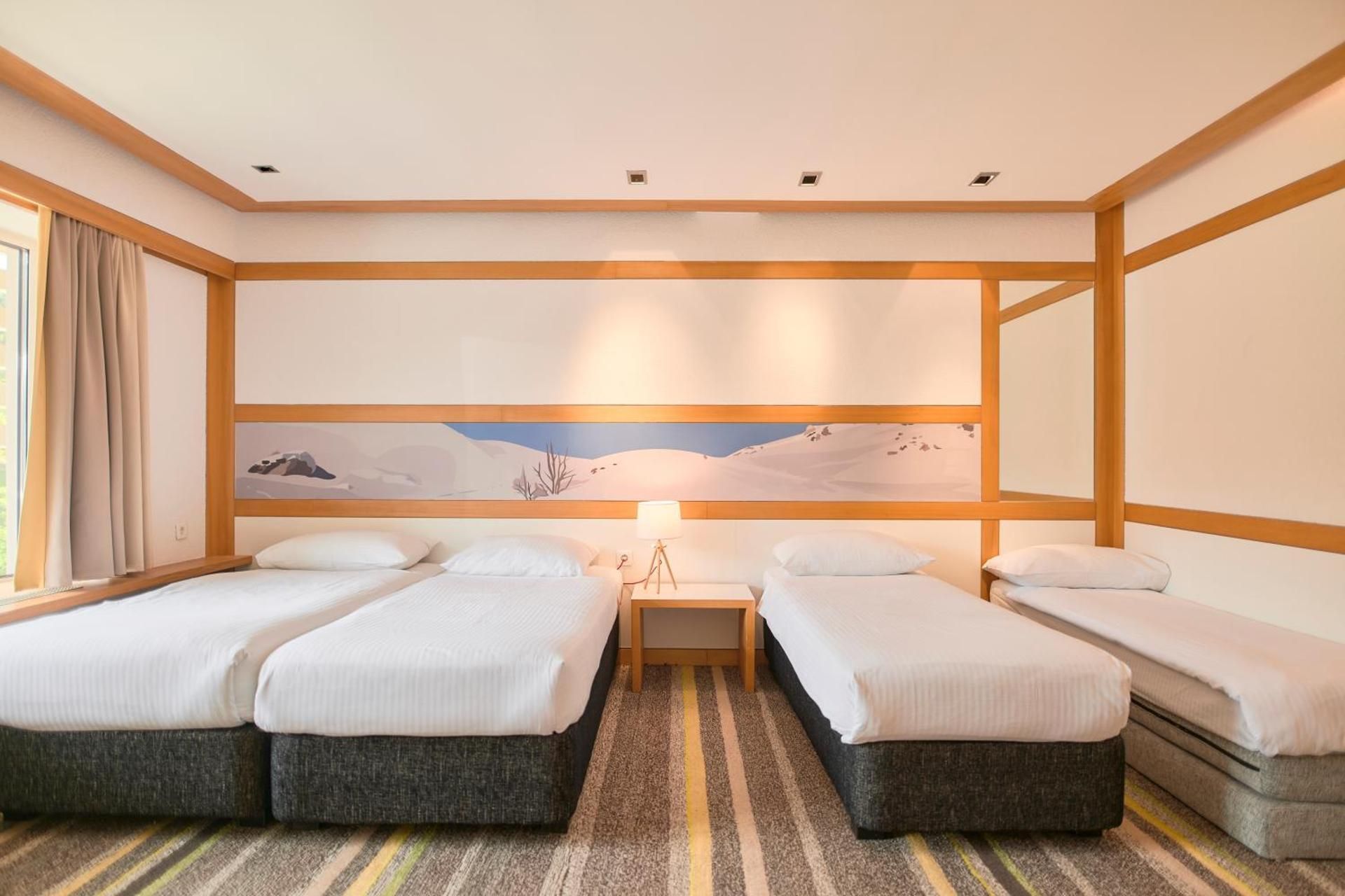 Triple Room with Mountain View , Balcony and Air-Conditioning